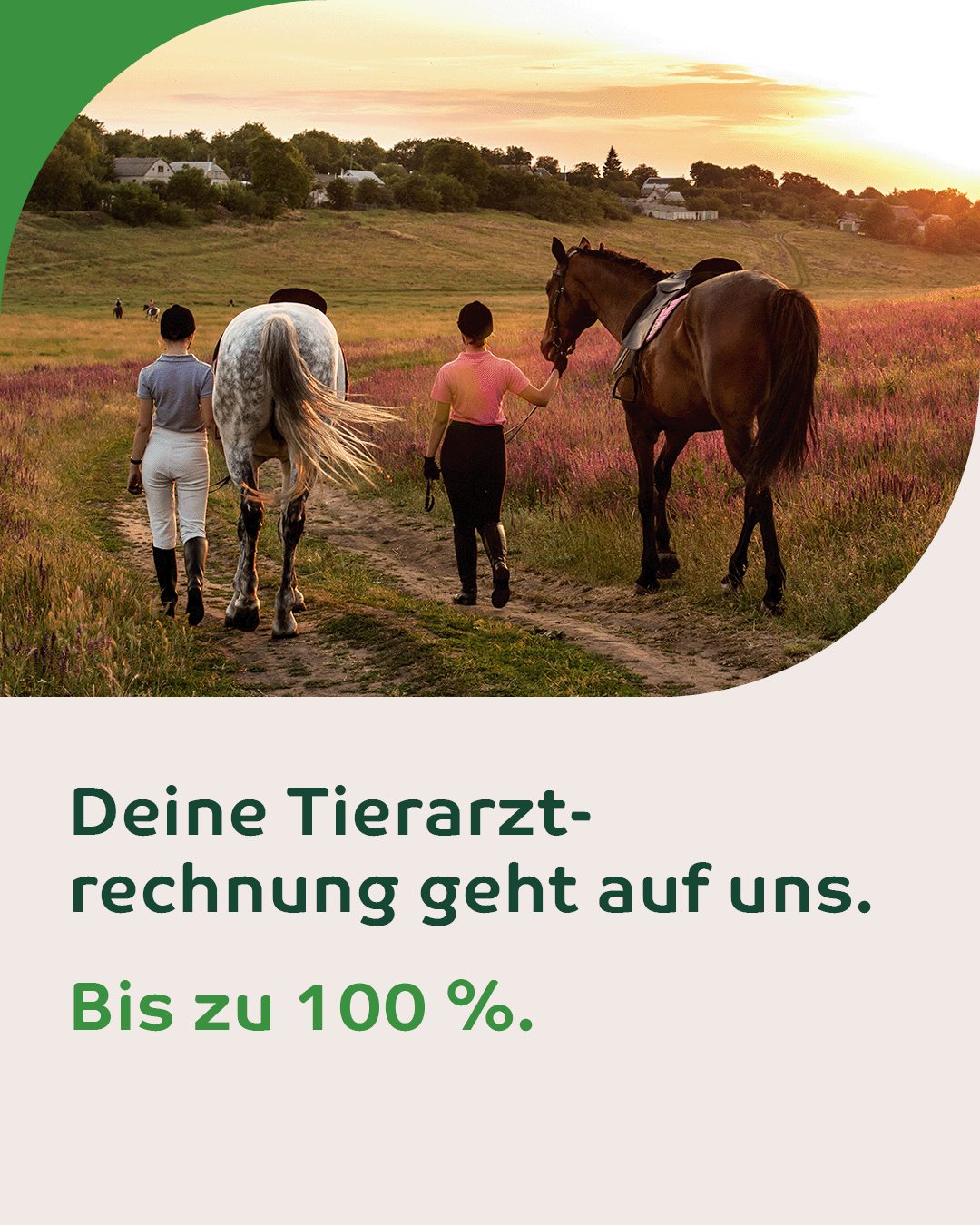 Uelzener Versicherungen Facebook ad: Ist dein Pferd für den Ernstfall gut abgesichert?