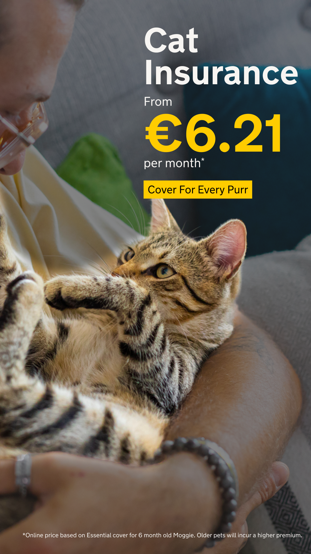 AA Ireland Facebook ad