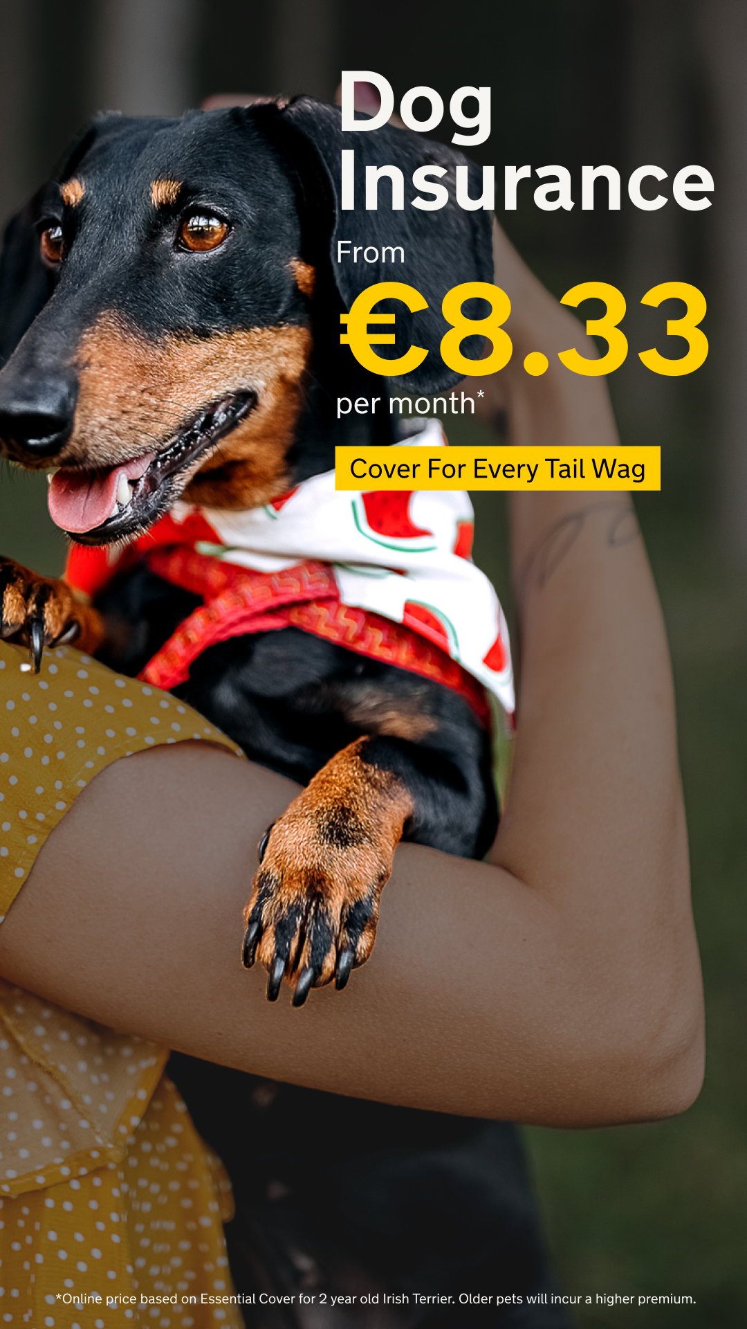 AA Ireland Facebook ad