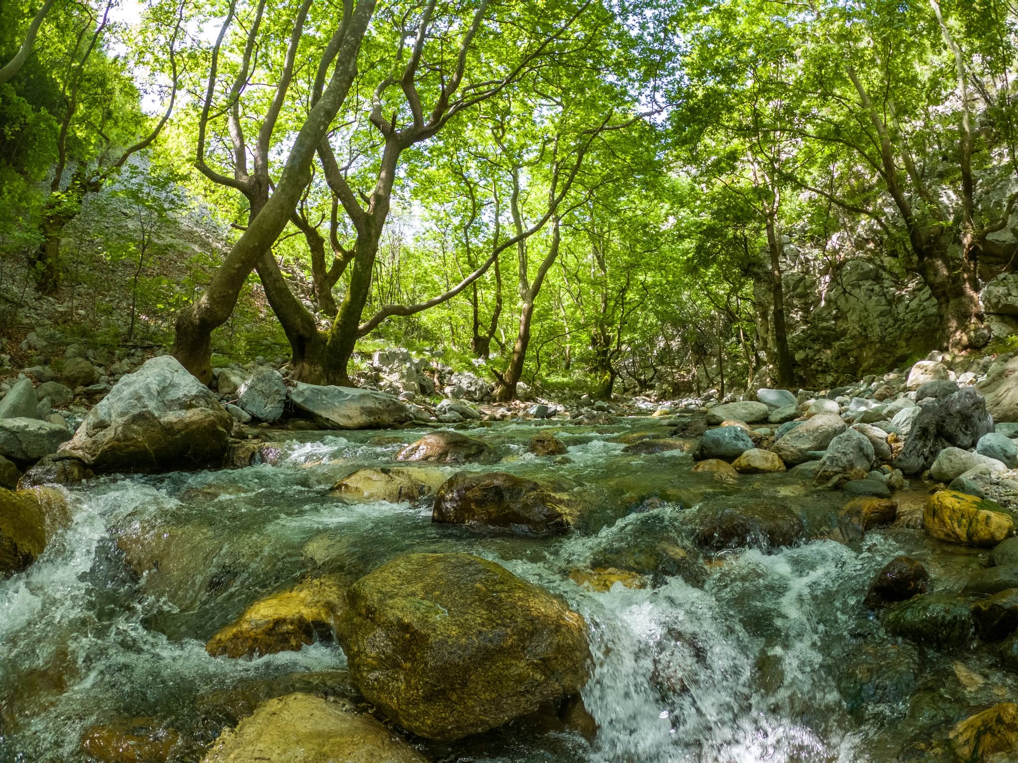 WADE Adventure Travel & Outdoor Activities Facebook ad: ΦΑΡΑΓΓΙ ΣΤΡΟΠΩΝΩΝ: River Trekking +plus Παραλία Χιλιαδού