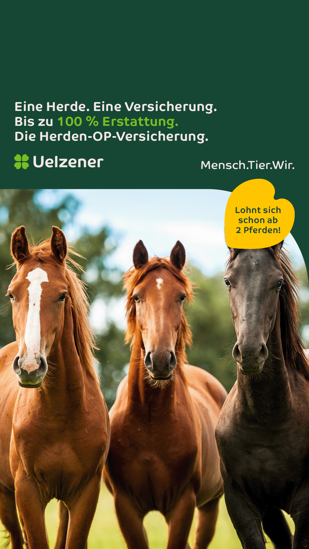 Uelzener Versicherungen Facebook ad