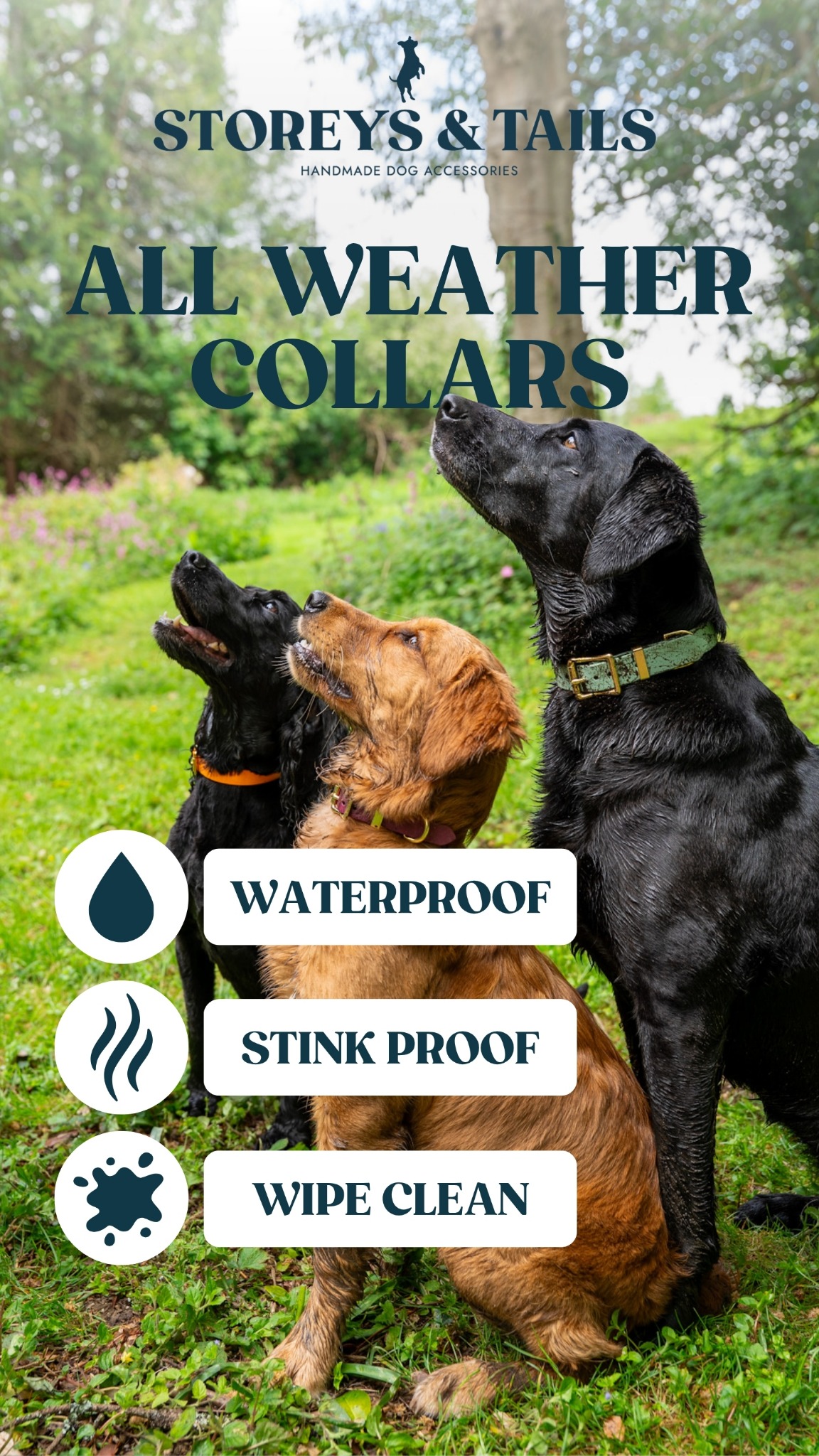 Storeys and Tails Facebook ad