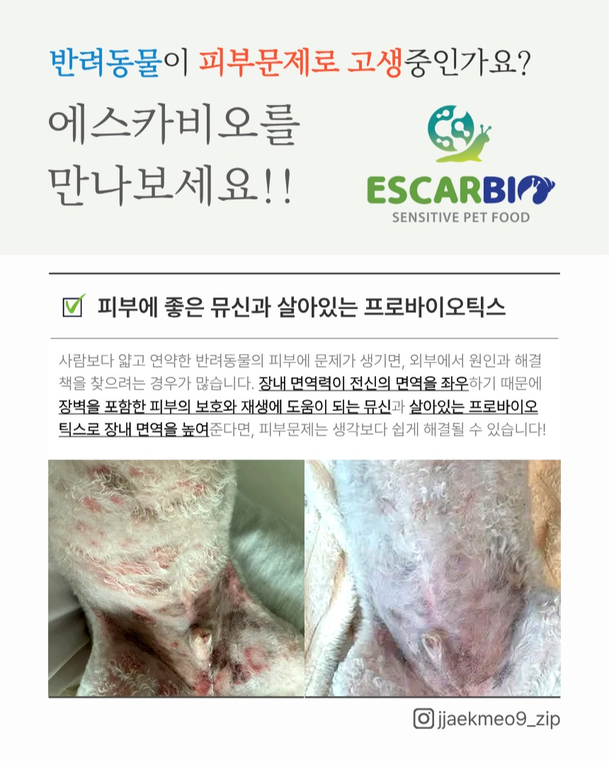 escarbio_official Facebook ad: 반려동물의 피부문제! 에스카비오가 쉬운 해결책이 될 수 있습니다!