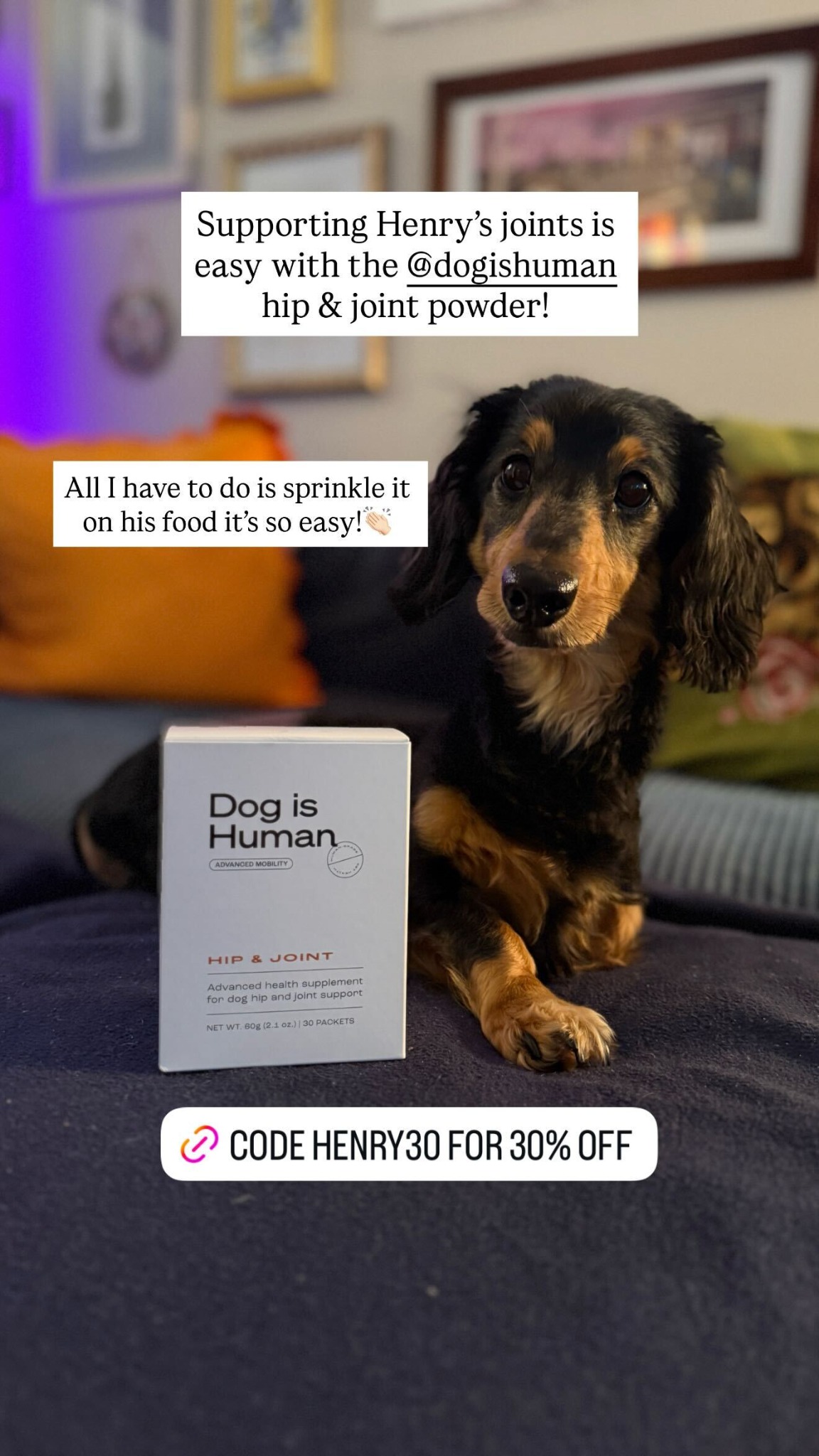 Dog is Human Facebook ad