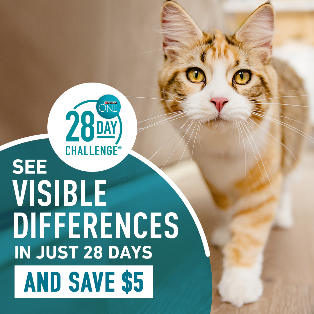 Purina ONE Facebook ad: Take the 28 Day Challenge to see visible…