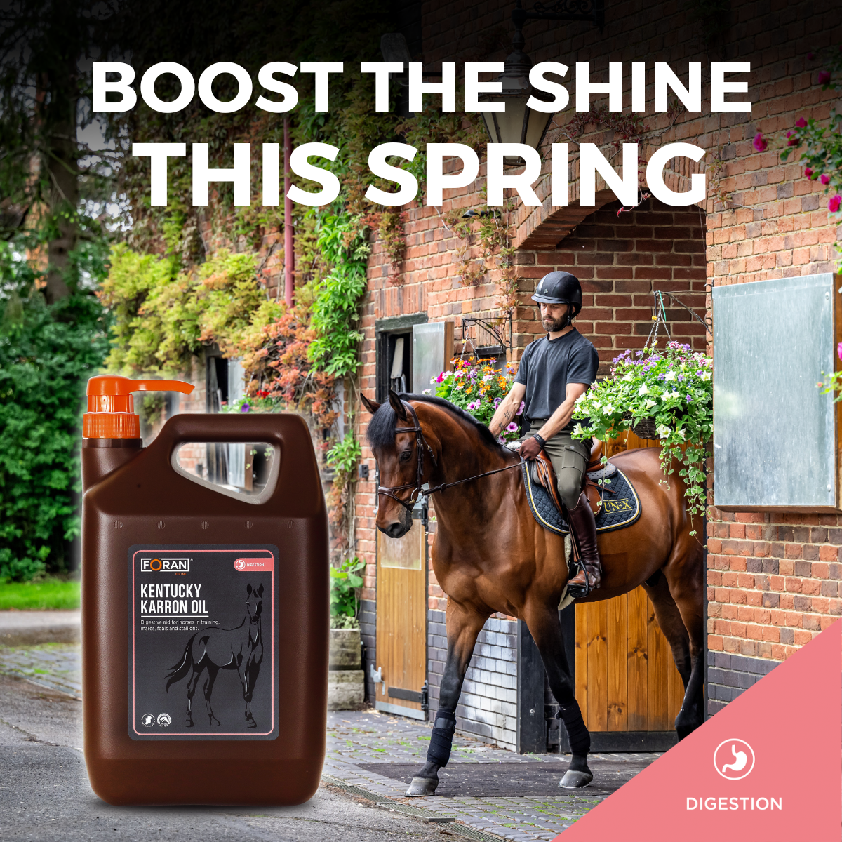 Foran Equine Facebook ad