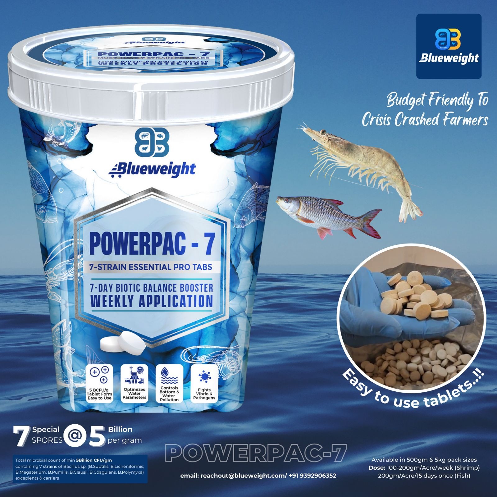 Blueweight Facebook ad from Jun 24, 2024