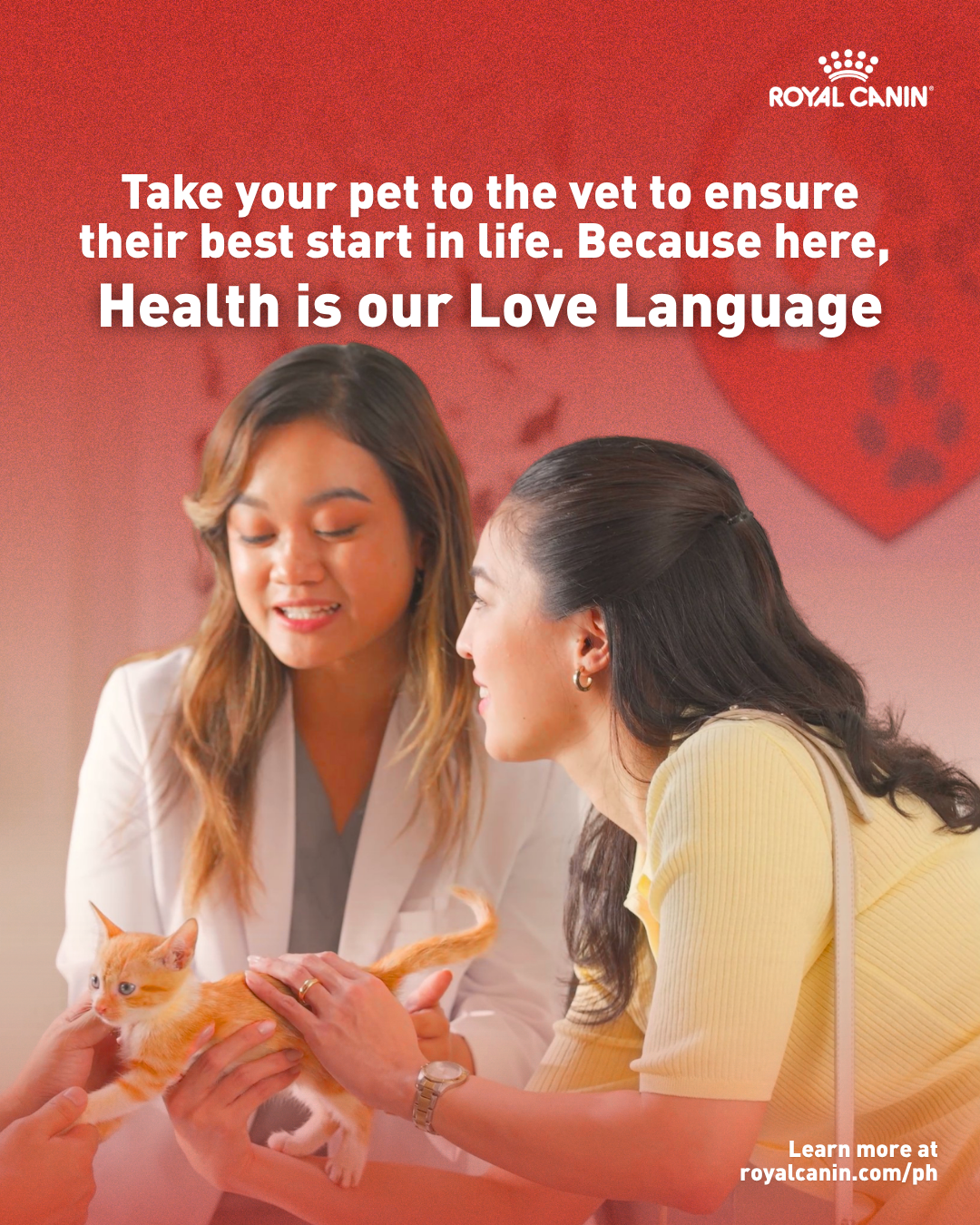 Royal Canin Facebook ad