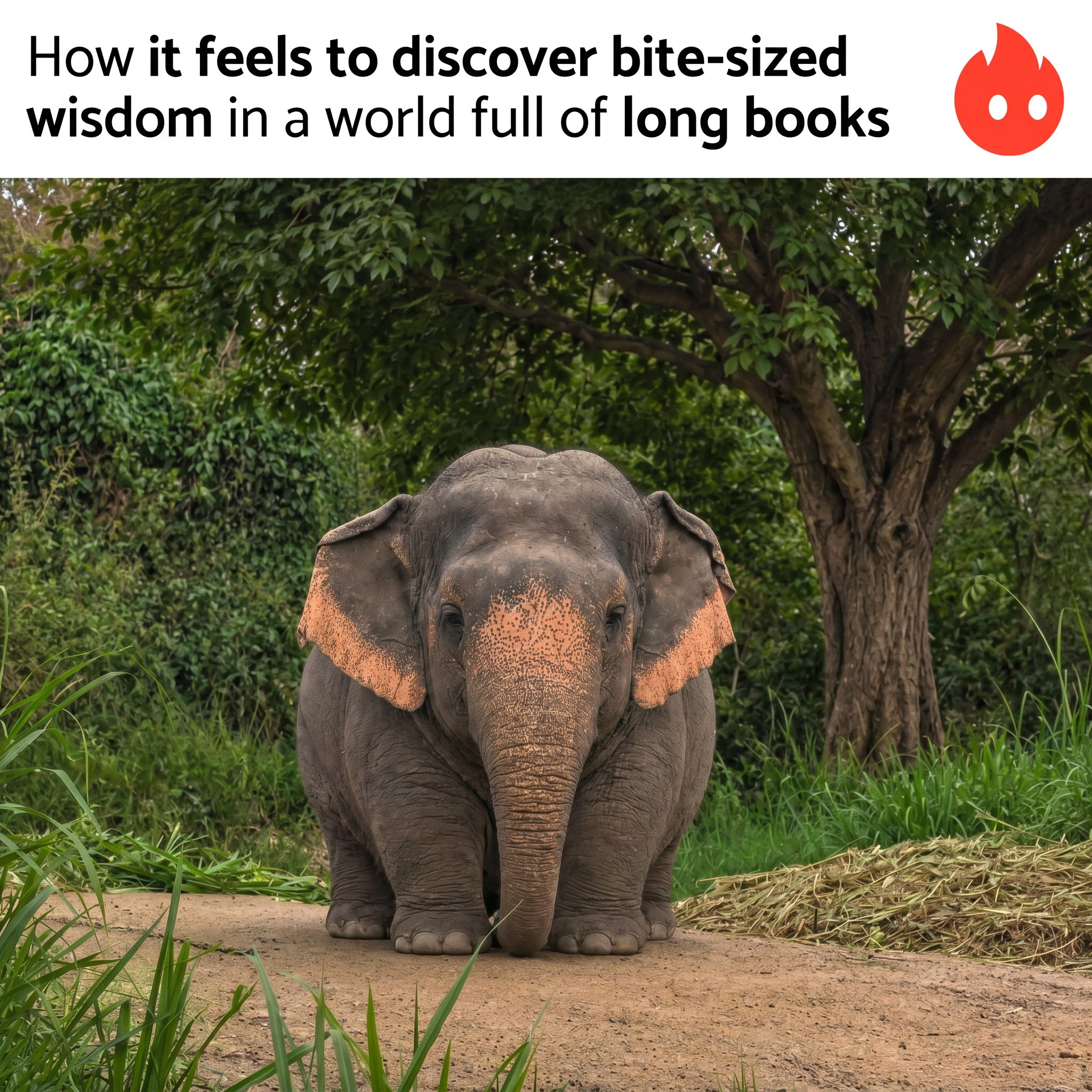 Deepstash Facebook ad