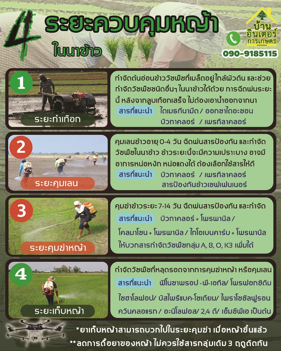 บ้านอินเตอร์การเกษตร Facebook ad: บ้านอินเตอร์การเกษตร
