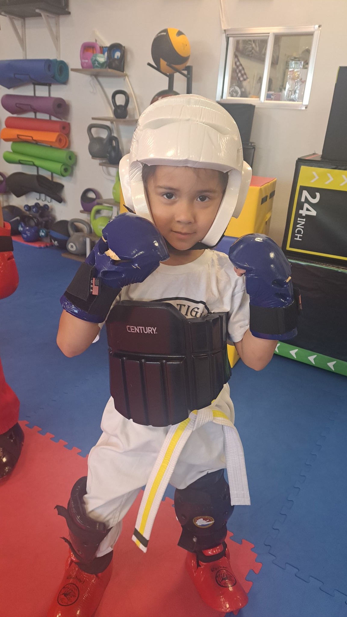 White Tiger Taekwondo/Fitness Protection Connection Facebook ad