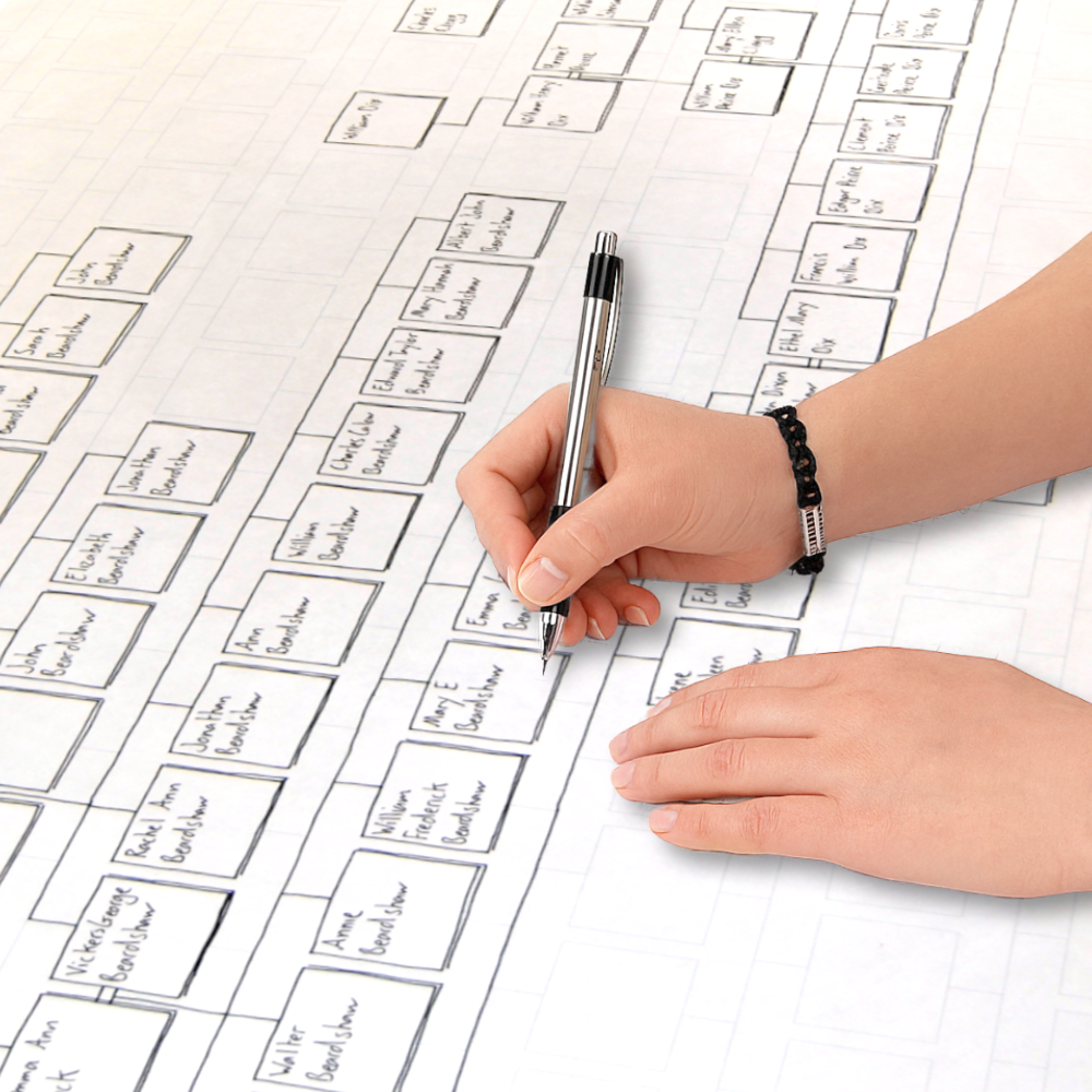 My History Facebook ad: Hand Draw your Family Tree with this Working chart paper…