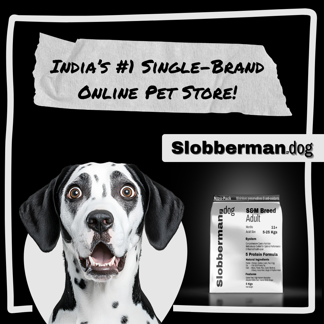 Slobberman.dog Facebook ad