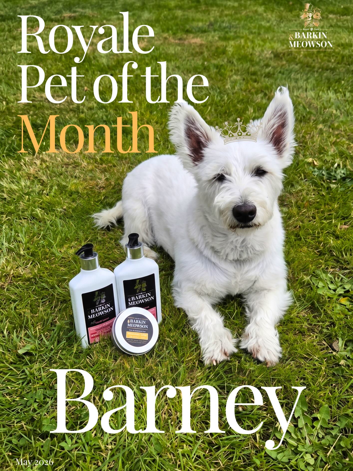 Barkin & Meowson Facebook ad: Barney is a 3-year-old Westie who loves beach…