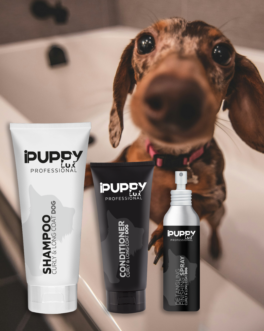 IPuppyLux Professional Facebook ad