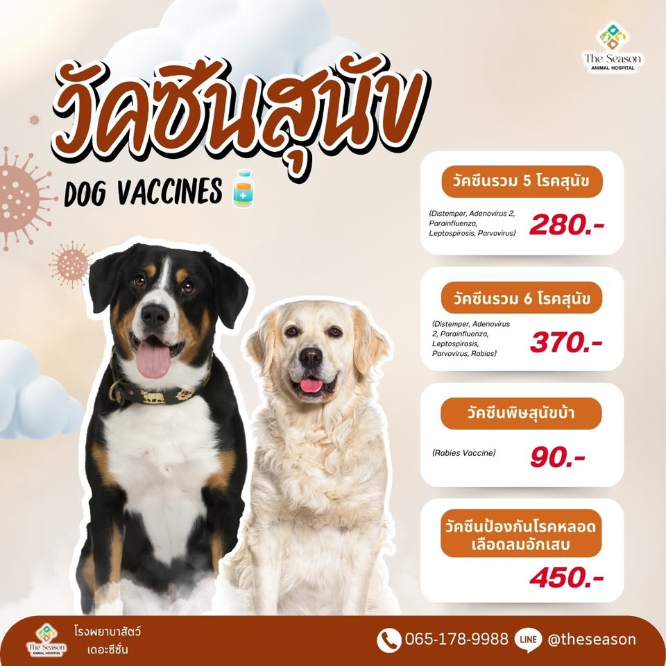 โรงพยาบาลสัตว์ เดอะซีซั่น - The Season Animal Hospital Facebook ad