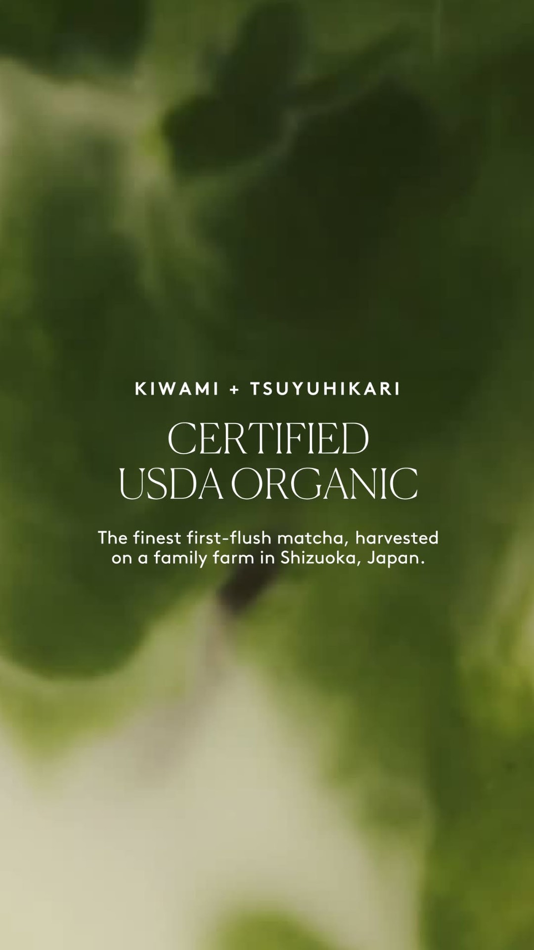 Matchaful Facebook ad from Jun 21, 2026