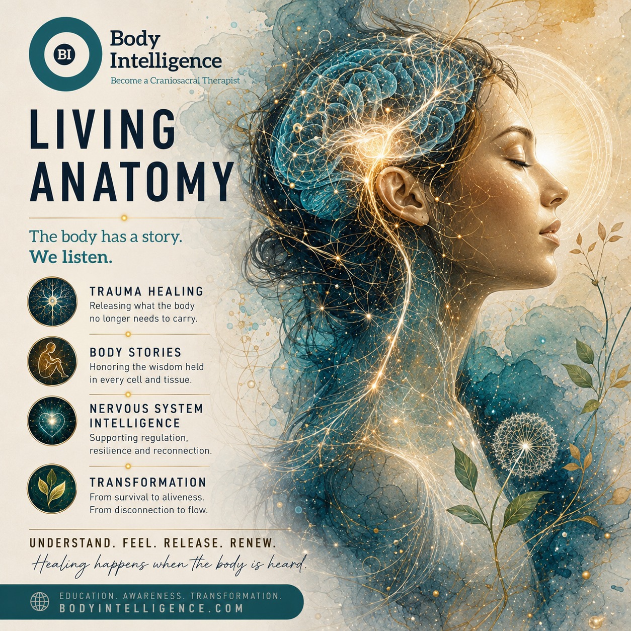 Body Intelligence Craniosacral Training Facebook ad: Learn about Body Intelligence's 2-year practitioner course…