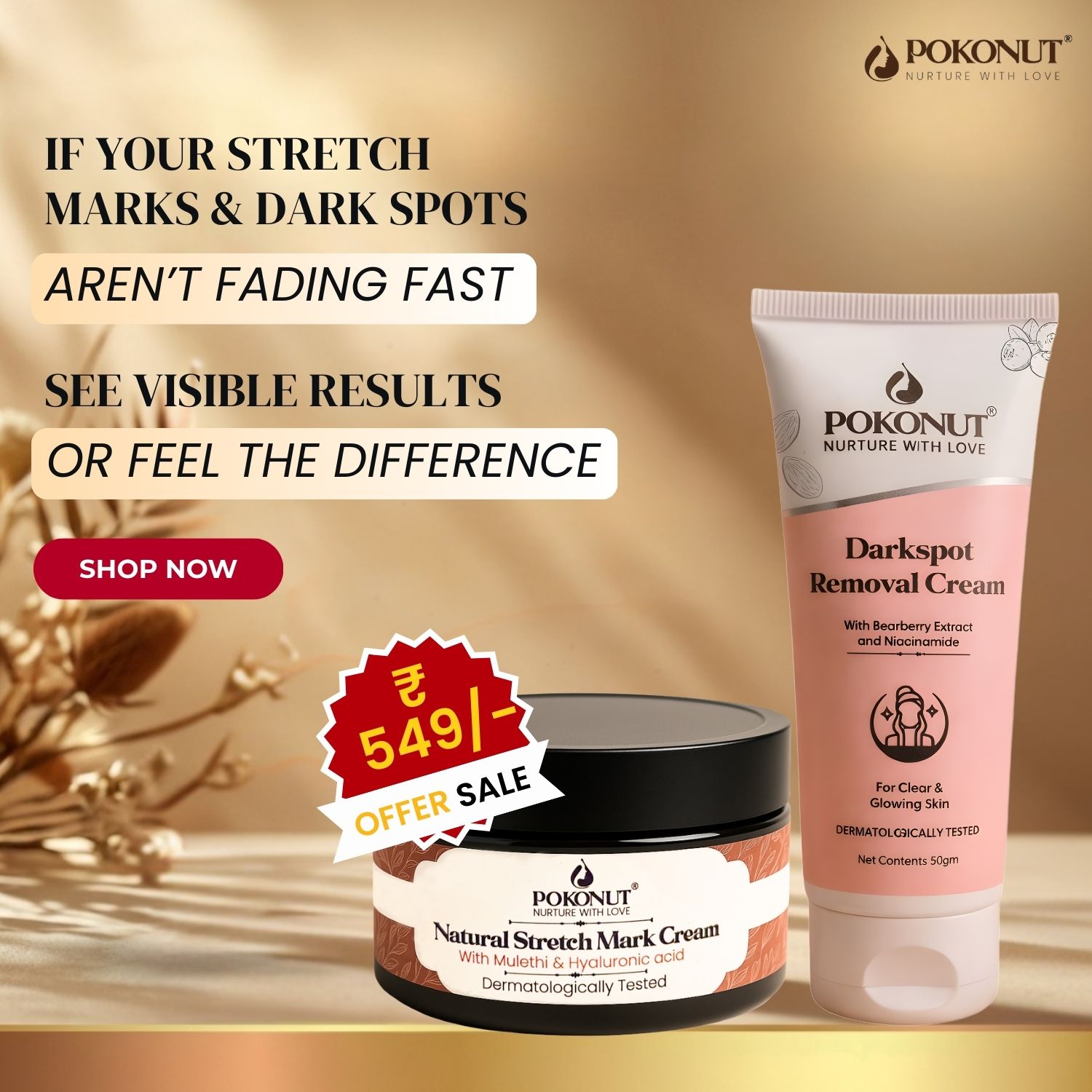 Pokonut India Facebook ad