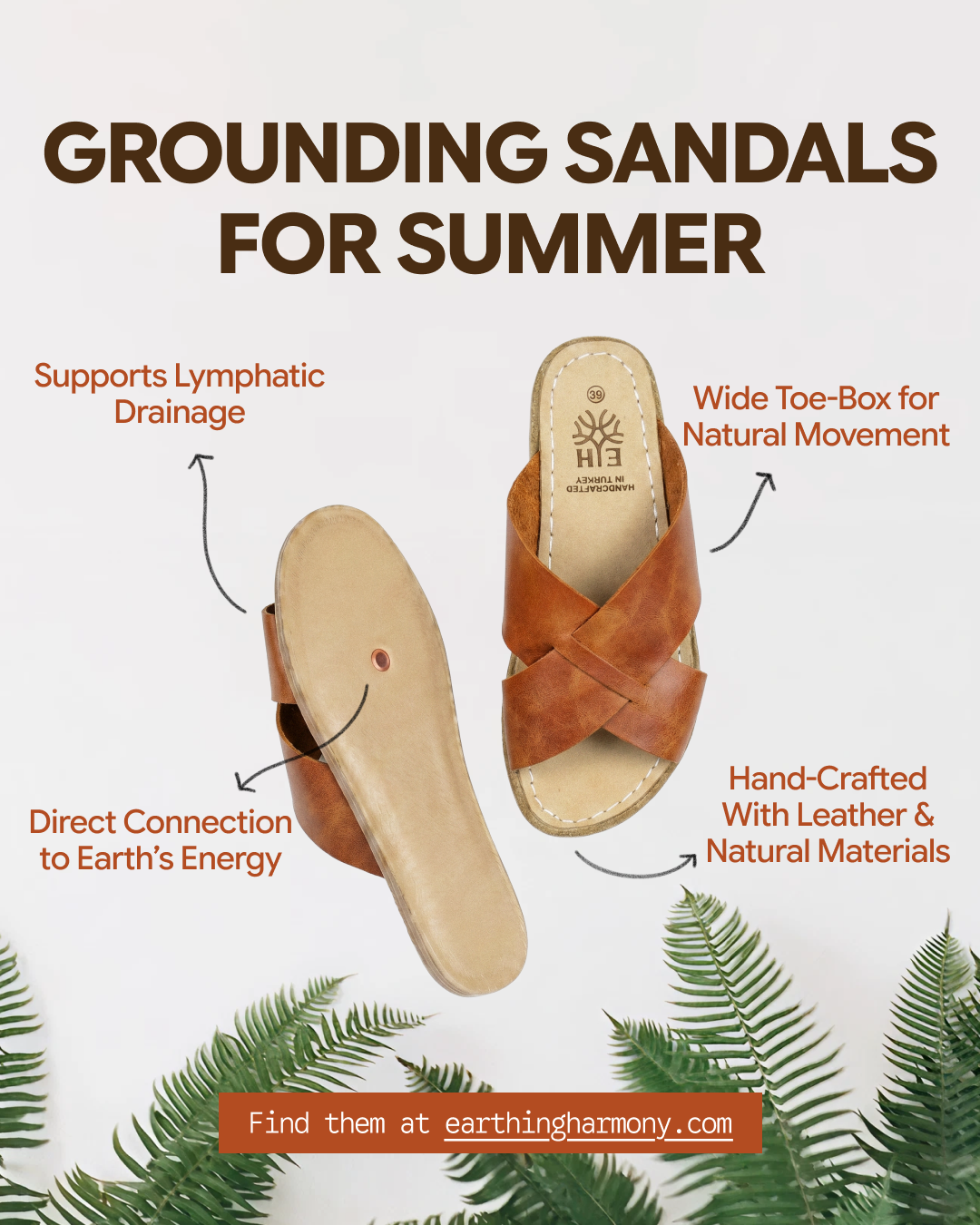 Earthing Harmony Facebook ad