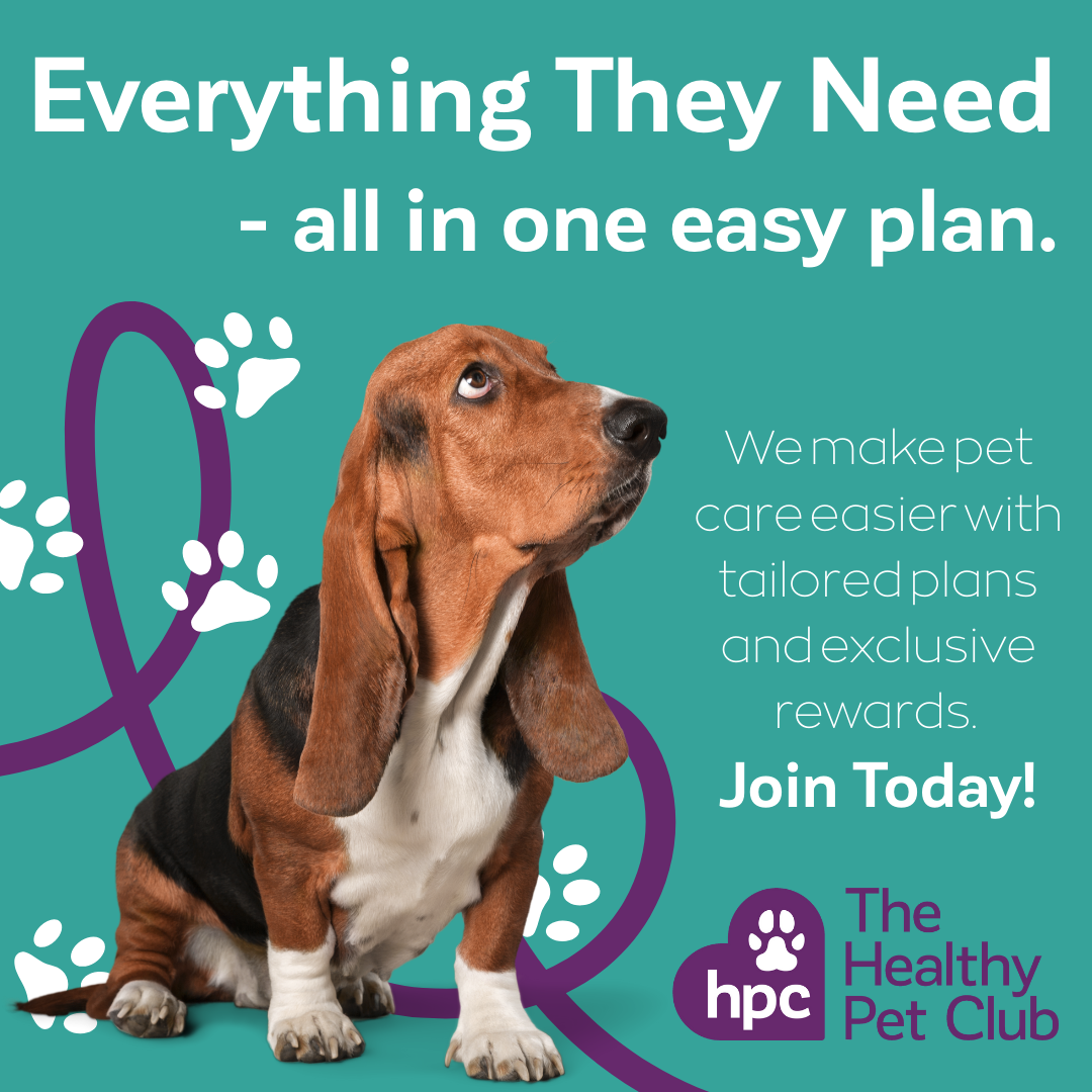 CVS UK Facebook ad: Keep your pet protected all year round with…
