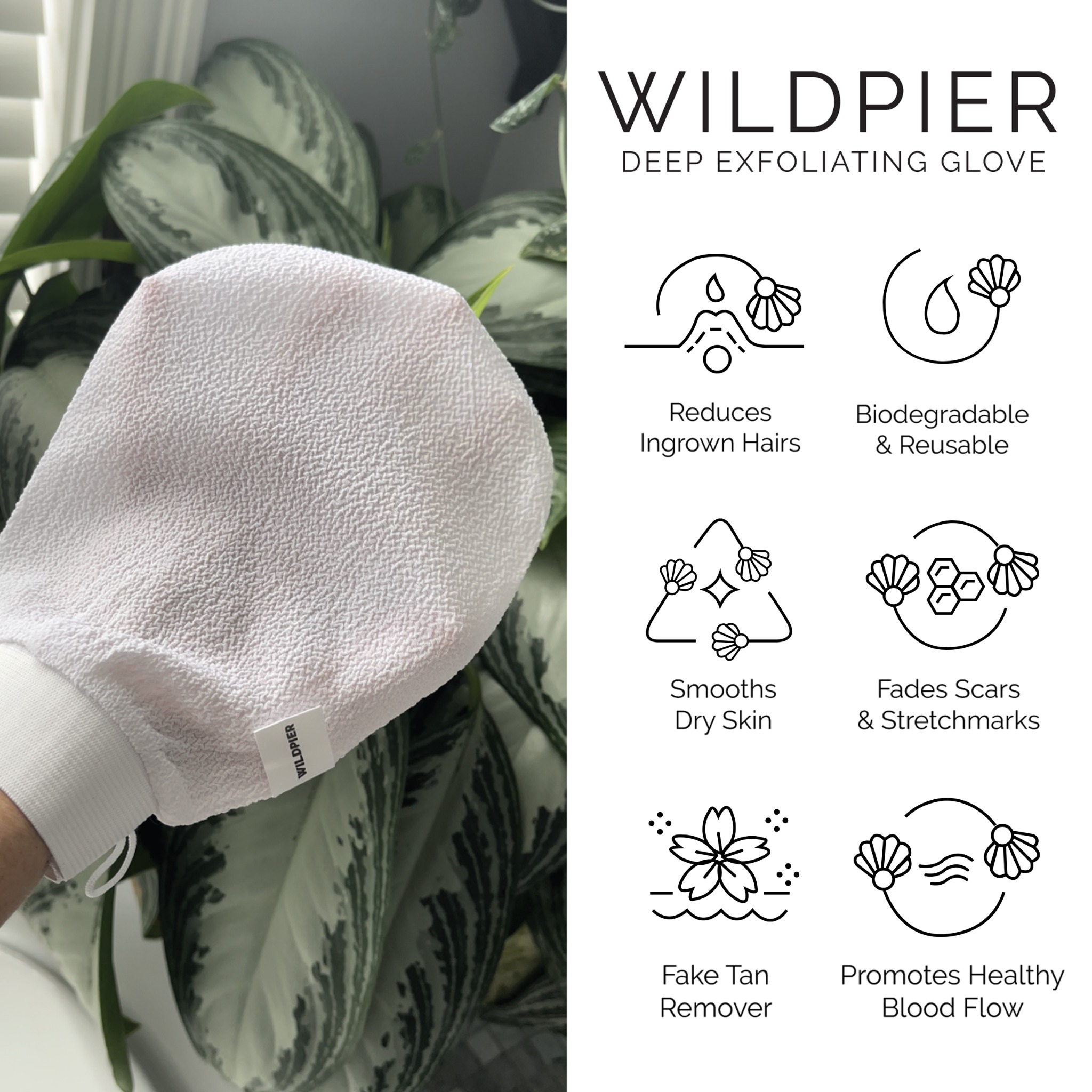 Wildpier Beauty Facebook ad