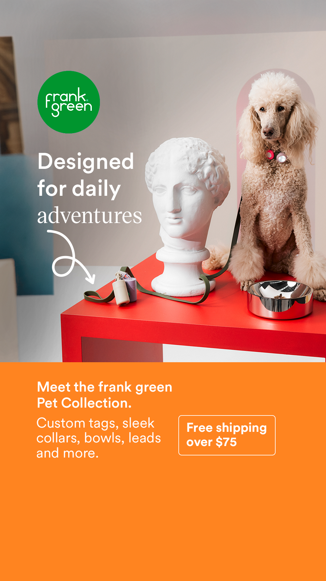 frank green Facebook ad