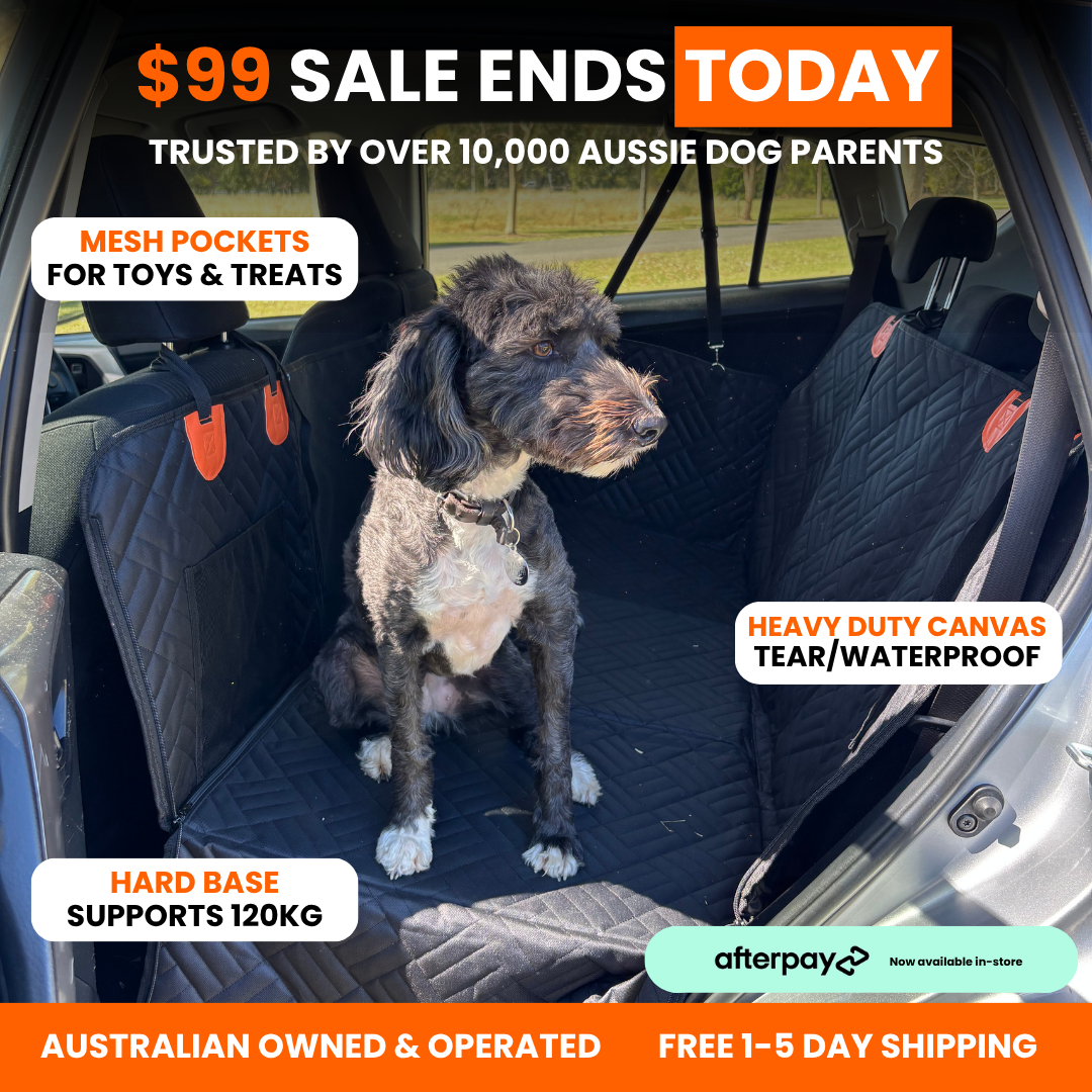 PupQuest Facebook ad: $99 SALE ENDS TODAY