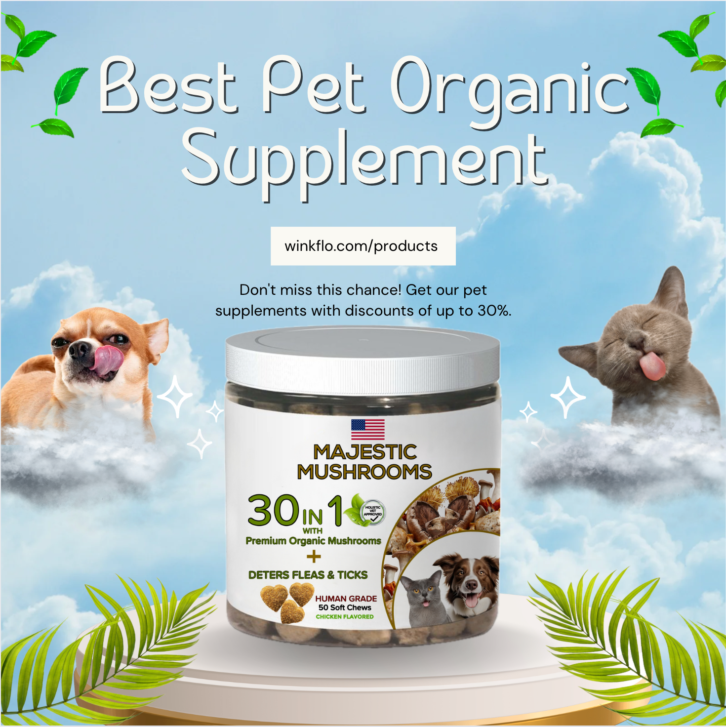 Pets Are Family Facebook ad