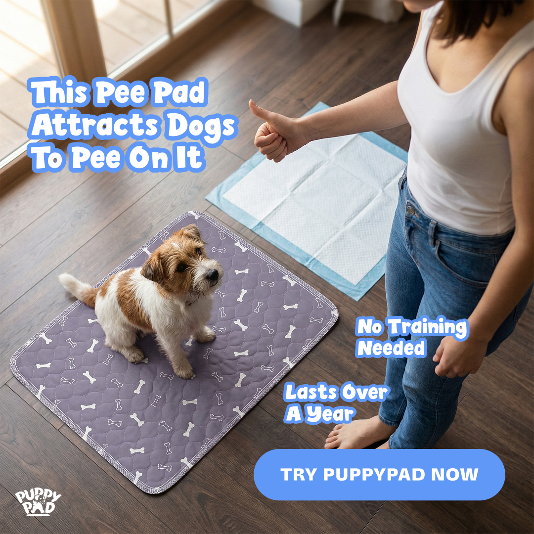 PuppyPad Facebook ad