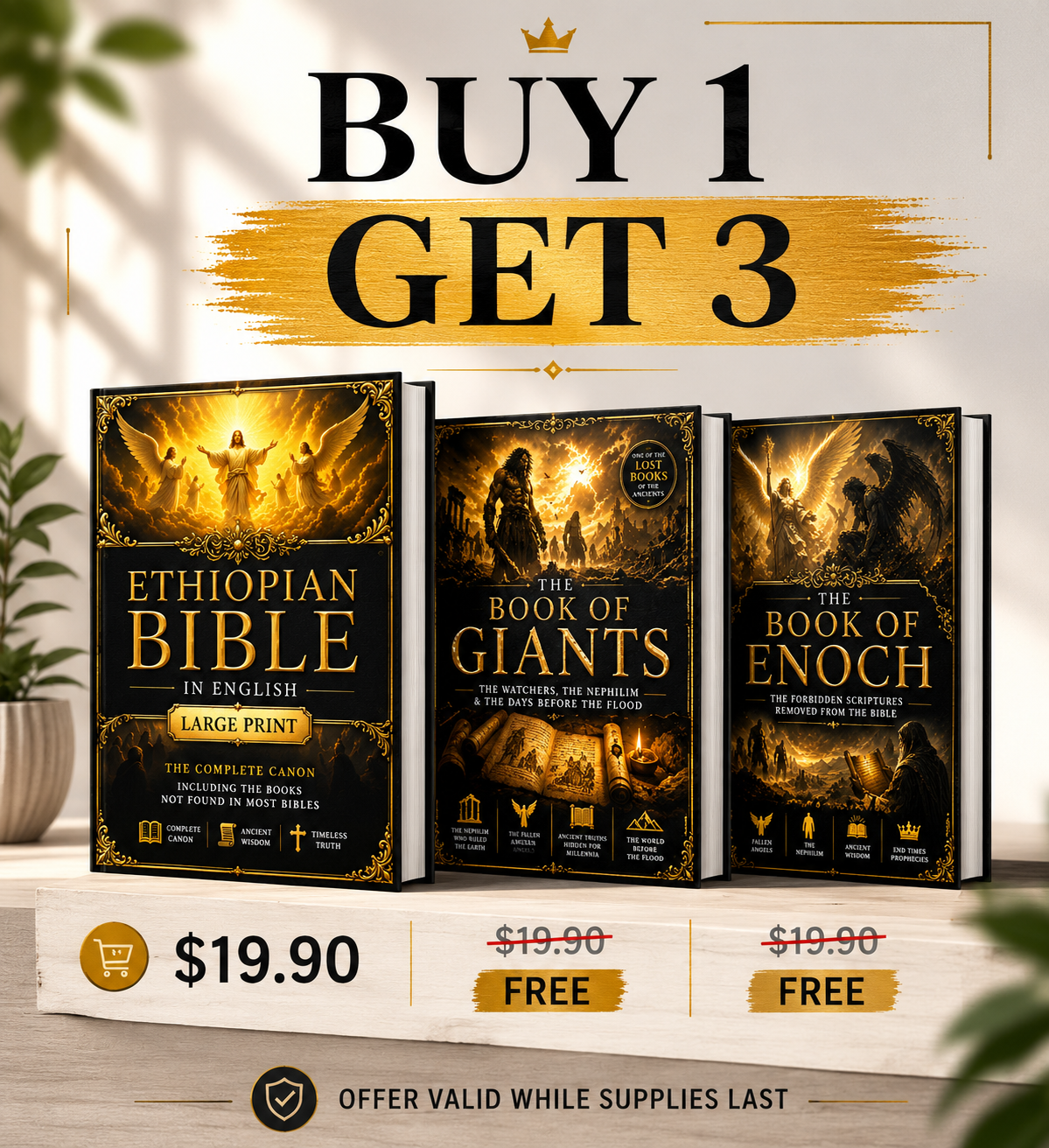 Daniel Begum Facebook ad