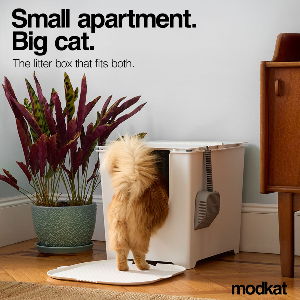 Modkat Facebook ad