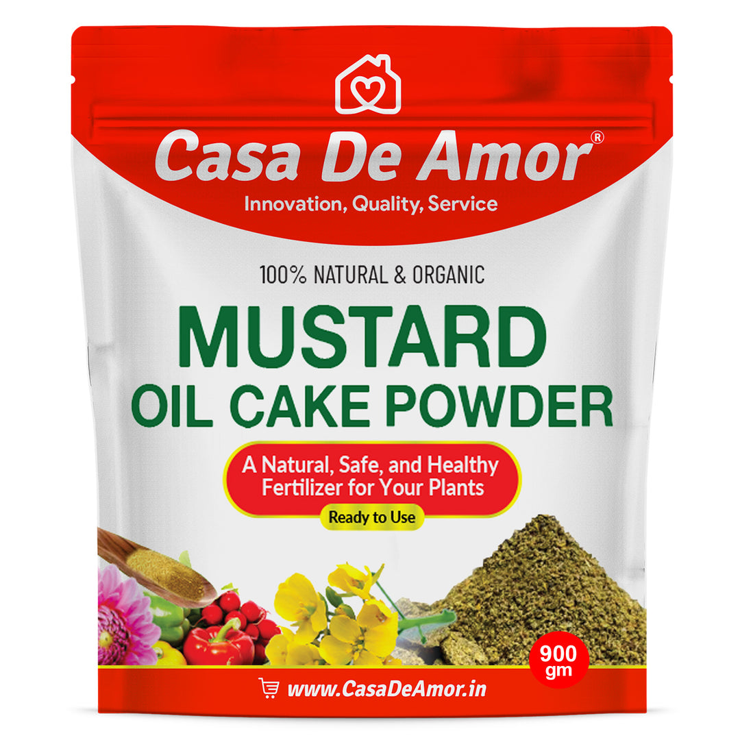 Casa De Amor India Facebook ad