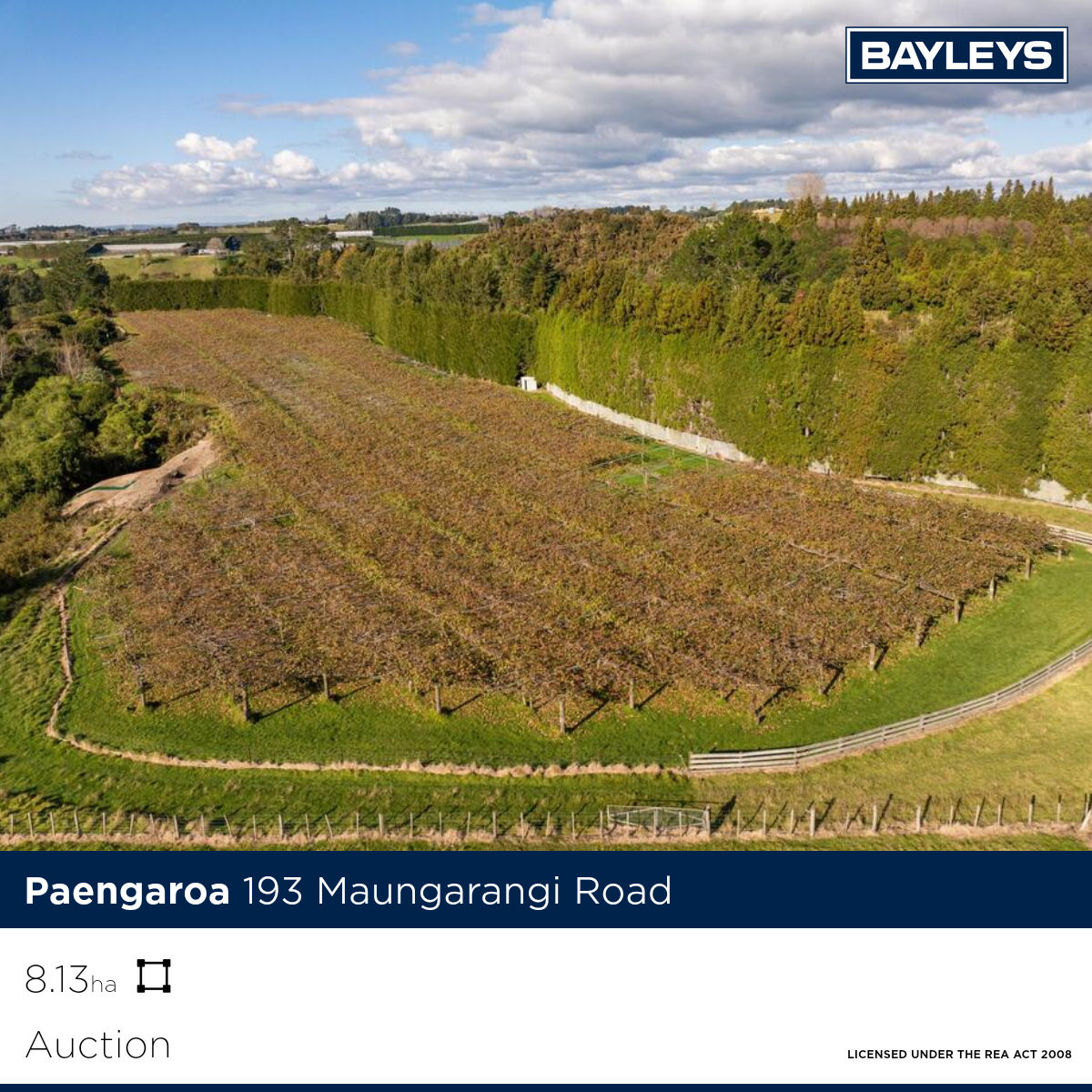 Bayleys Tauranga Facebook ad from Jul 7, 2026