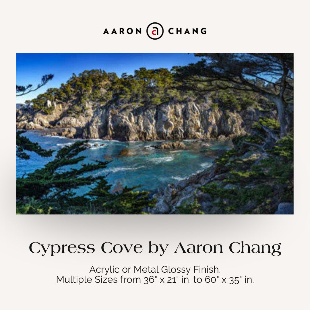 Aaron Chang Facebook ad