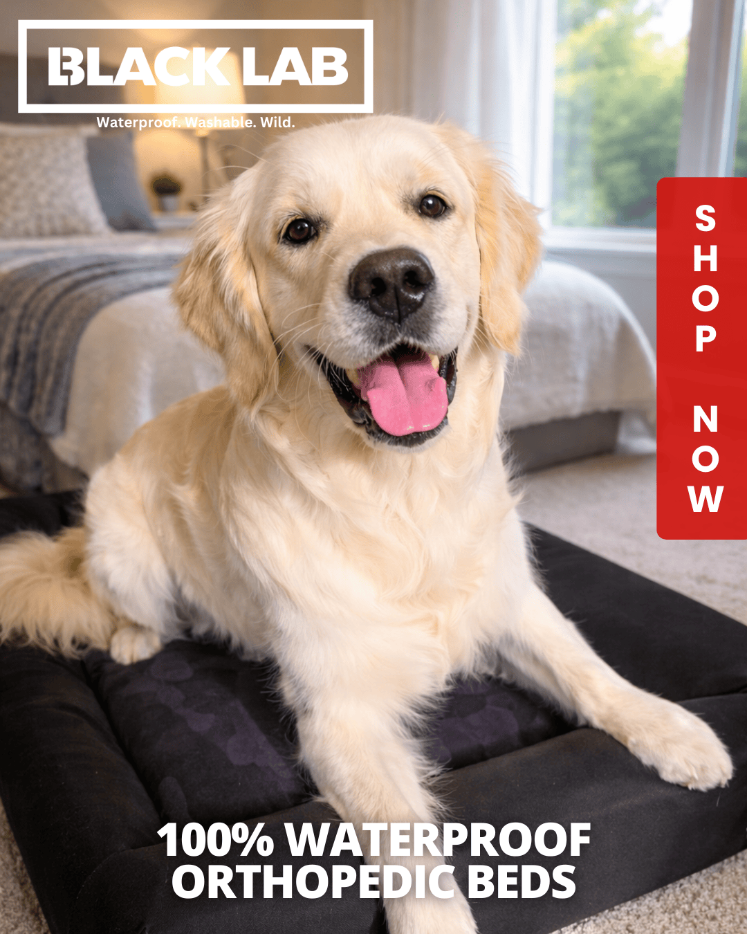 Black Lab Brands Facebook ad