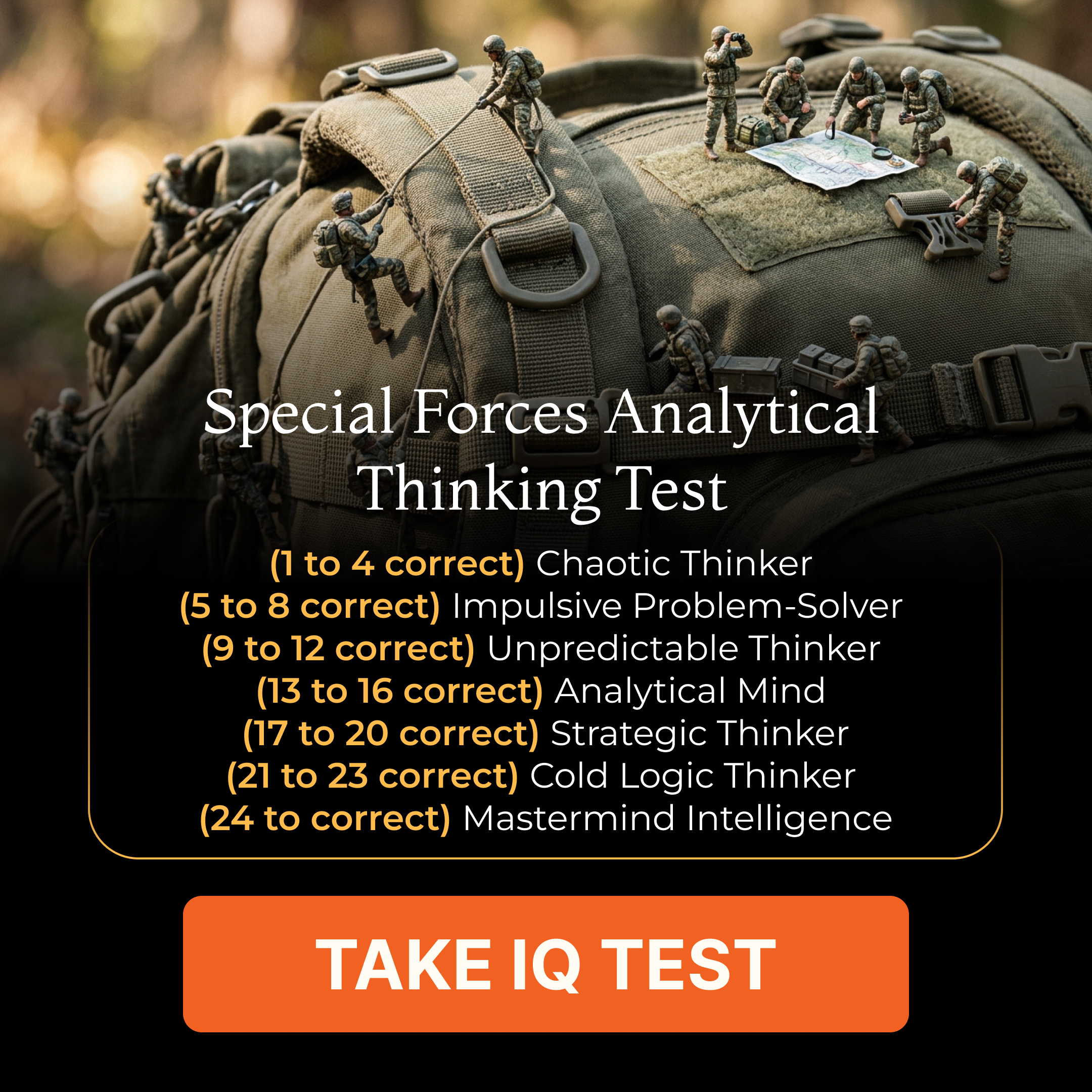 My IQ Facebook ad