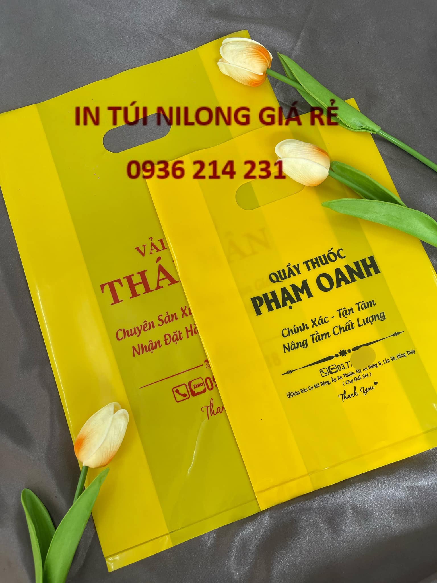 In Túi NiLông Giá Rẻ Facebook ad