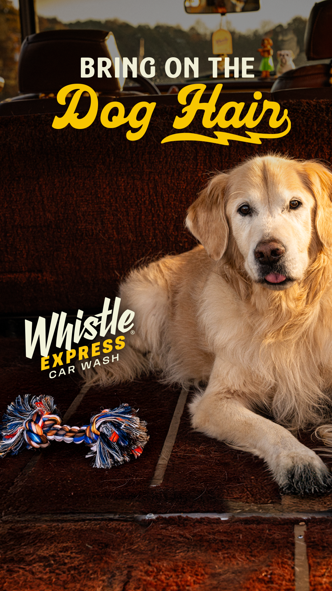 Whistle Express Car Wash Facebook ad from Feb 9, 2026