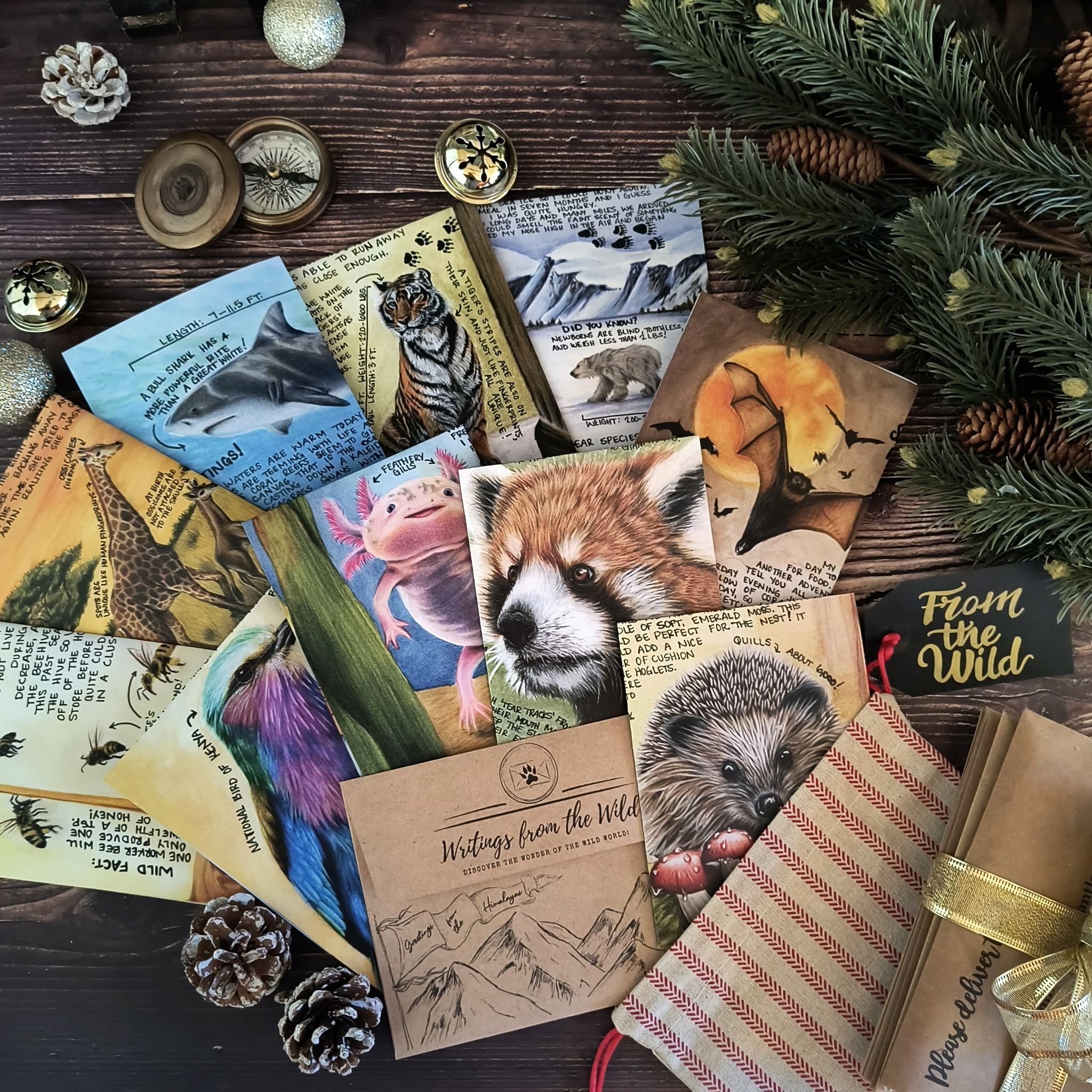 Writings from the Wild Facebook ad: Discoveries Await!