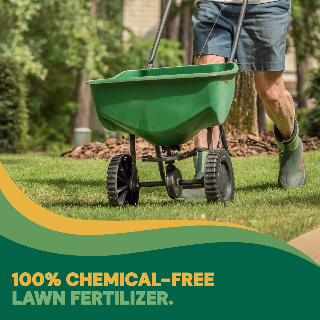 Mountainview Turfgrass Specialists Facebook ad