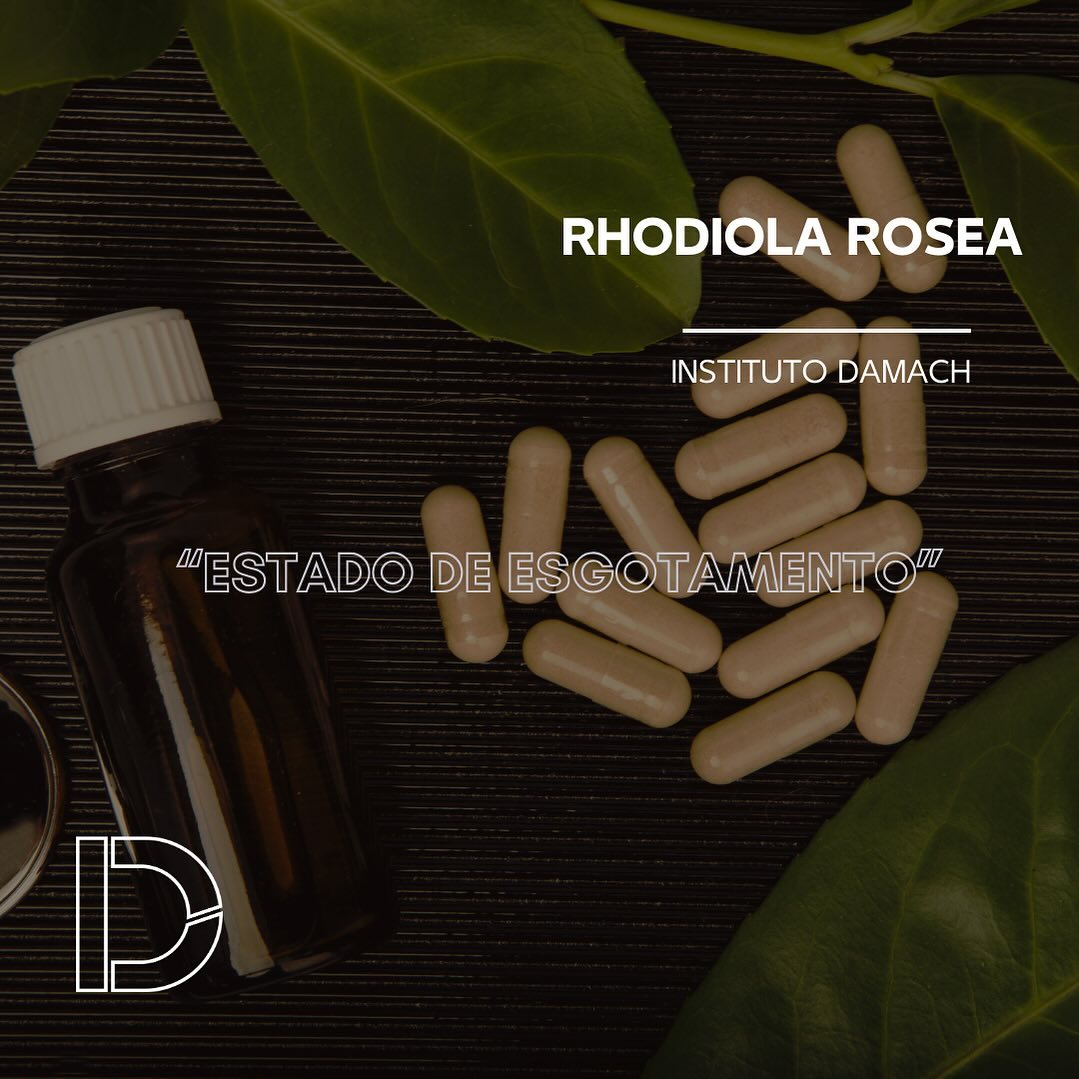 drsamherdamach Facebook ad: A Rhodiola rosea é uma erva adaptogênica conhecida…