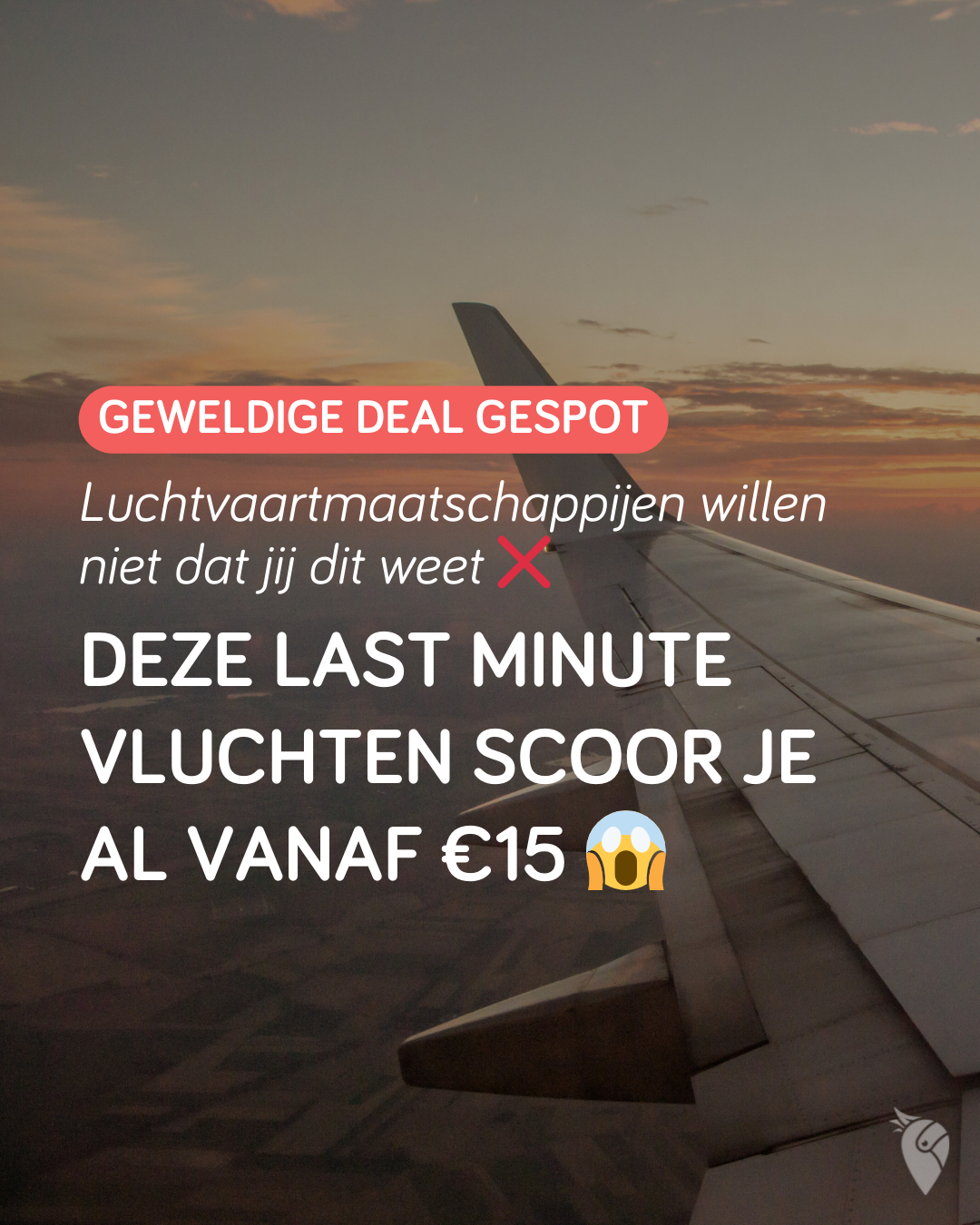 VakantiePiraten.nl Facebook ad