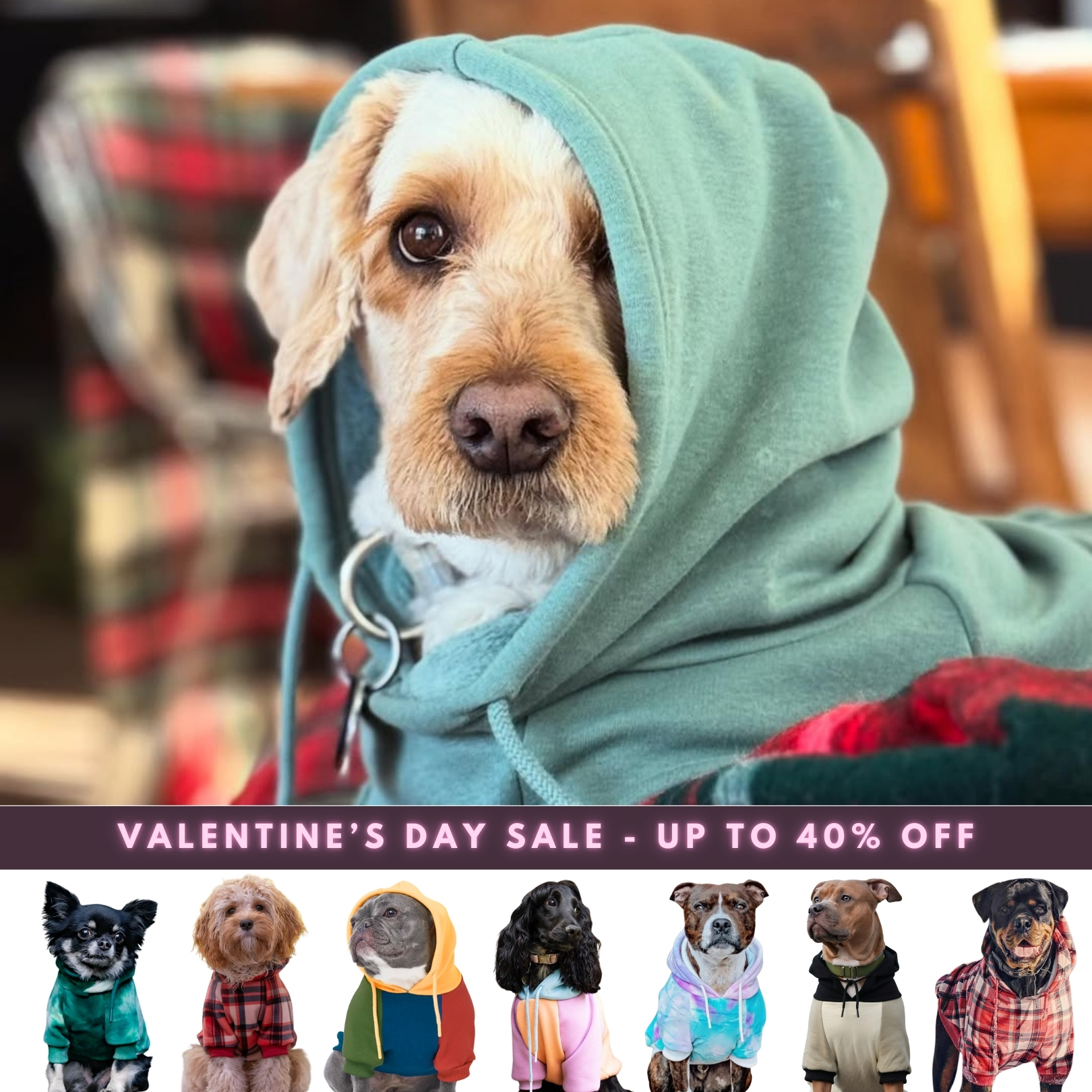 Spark Paws Facebook ad