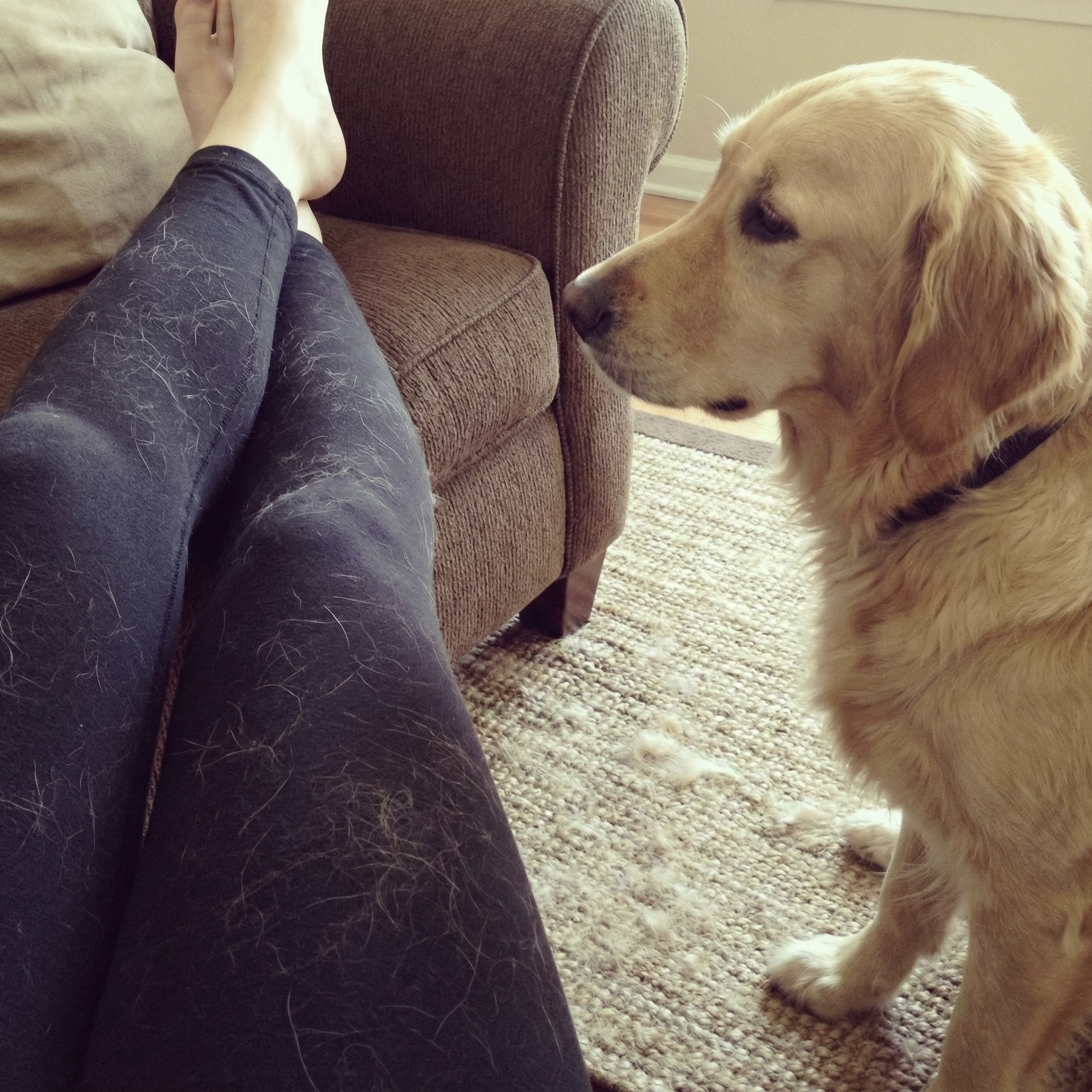 Healthy Pet Insiders Facebook ad: Read This If You Have A Pet Dog Or Cat