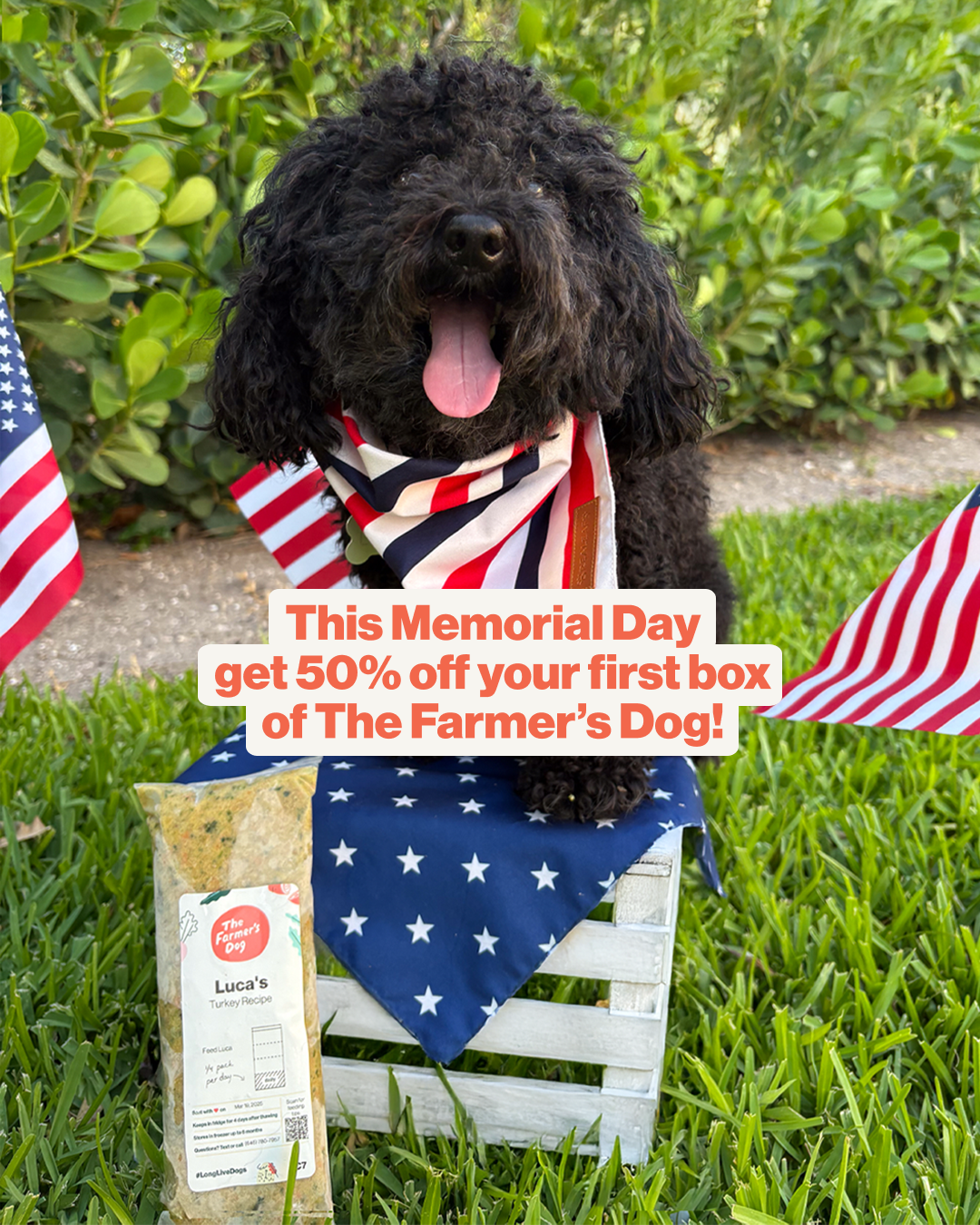 The Farmer's Dog Facebook ad