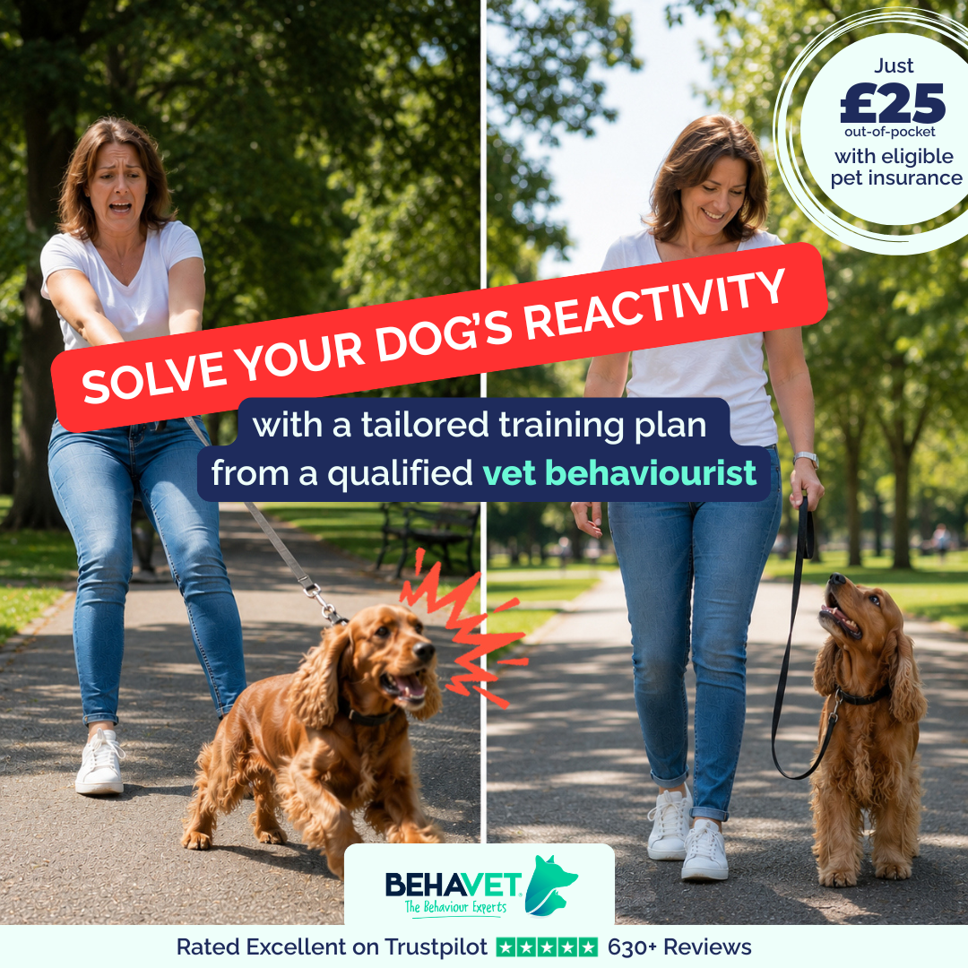 Behavet: The Pet Behaviour Experts Facebook ad