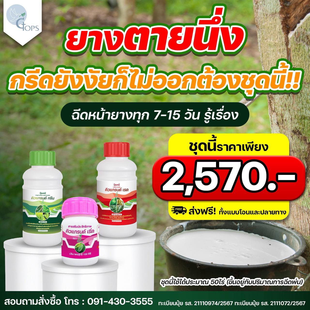 ปุ๋ยคิวแกรนด์ - เปลือกนิ่ม กรีดง่าย น้ำยางเยอะ เปอร์เซ็นต์น้ำยางสูง Facebook ad: ใส่ปุ๋ยแต่ใบไม่เขียว ยอดไม่เดิน น้ำยางไม่เพิ่ม
