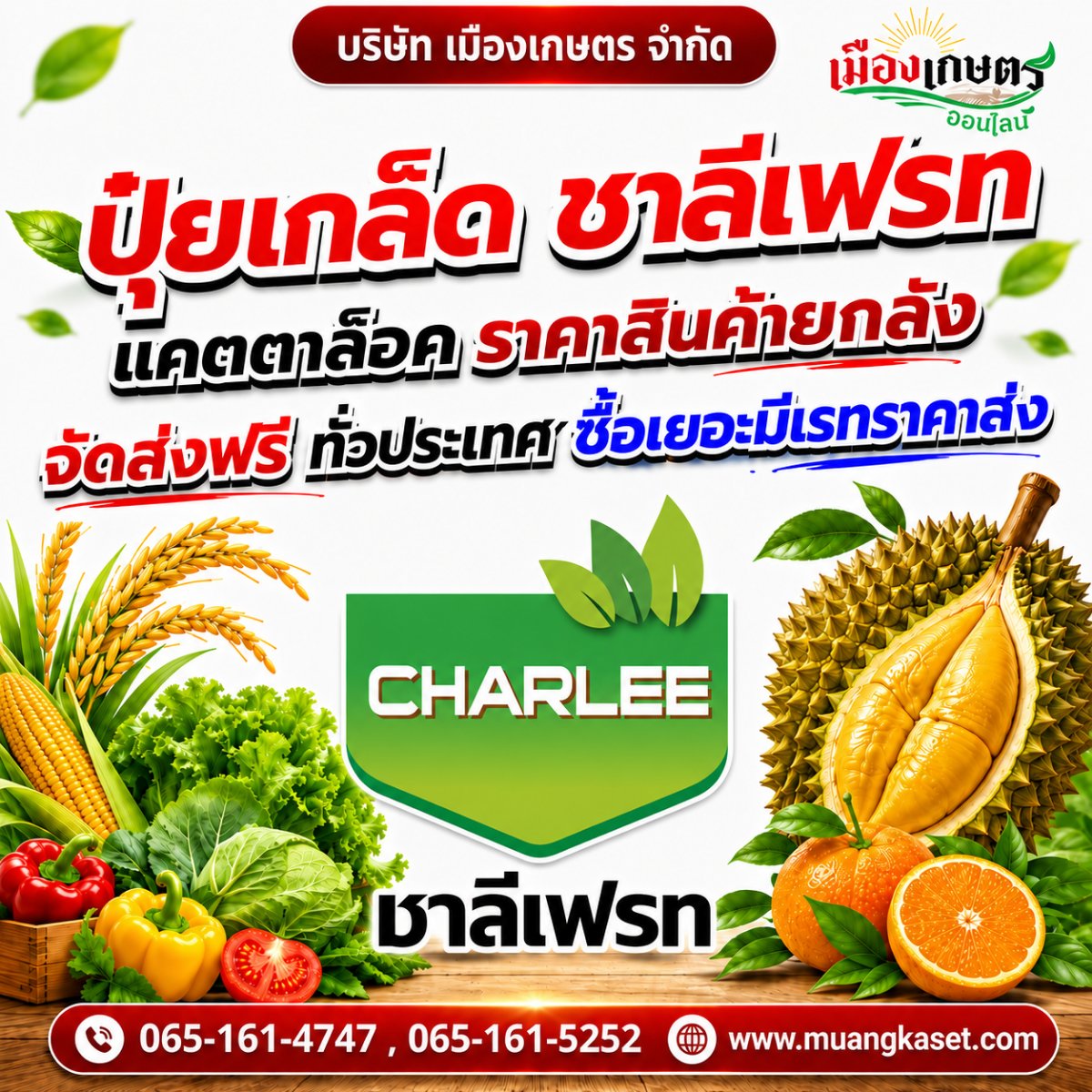 บริษัท เมืองเกษตร จำกัด ขายส่ง-ปลีก ปุ๋ย ยา เคมีเกษตร จัดส่งฟรีทั่วประเทศ Facebook ad