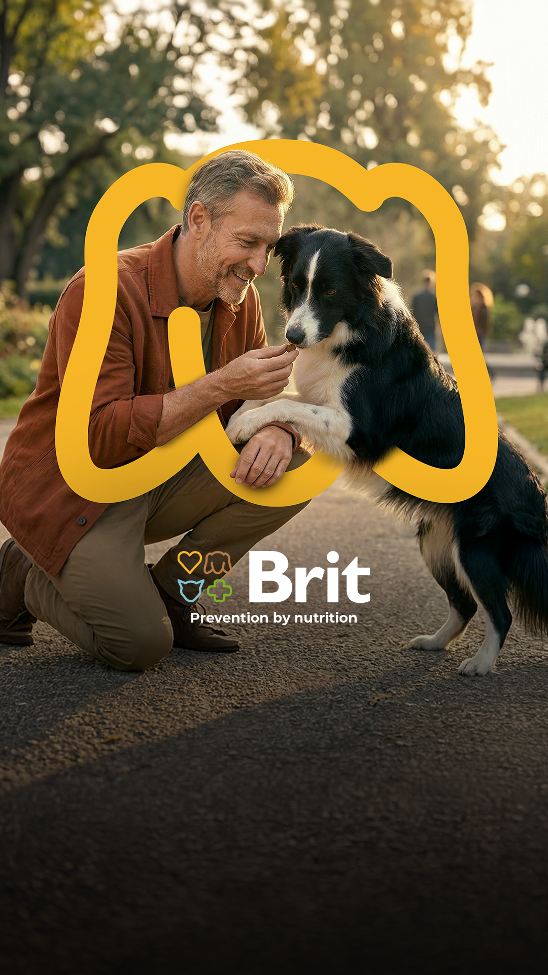 Brit Facebook ad